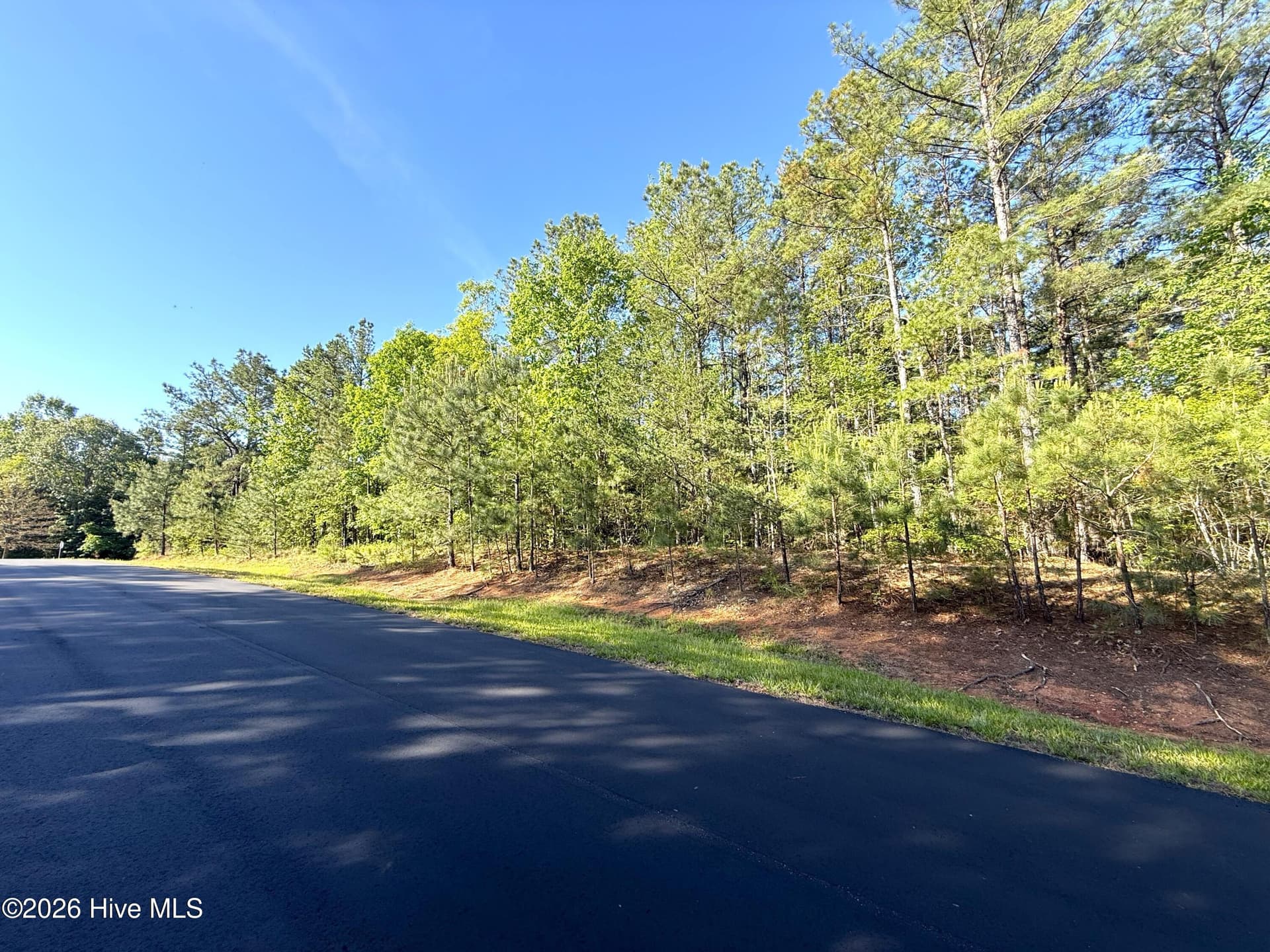 Residential Lot at 121 21 Watsons Way, Rockingham, NC 28379, photo 11 of 22