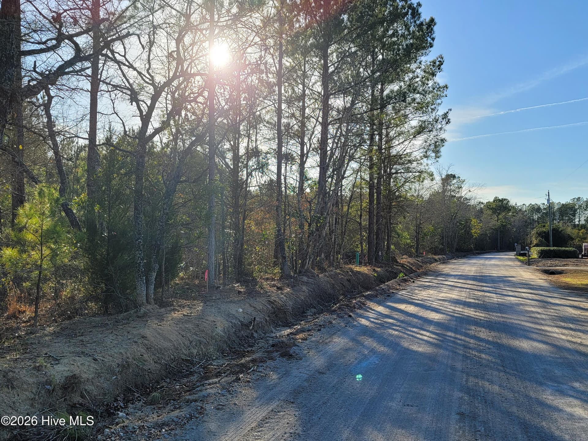 Wooded at Tbd Lot 3 3 Auburn Drive, Loris, SC 29569, photo 6 of 9