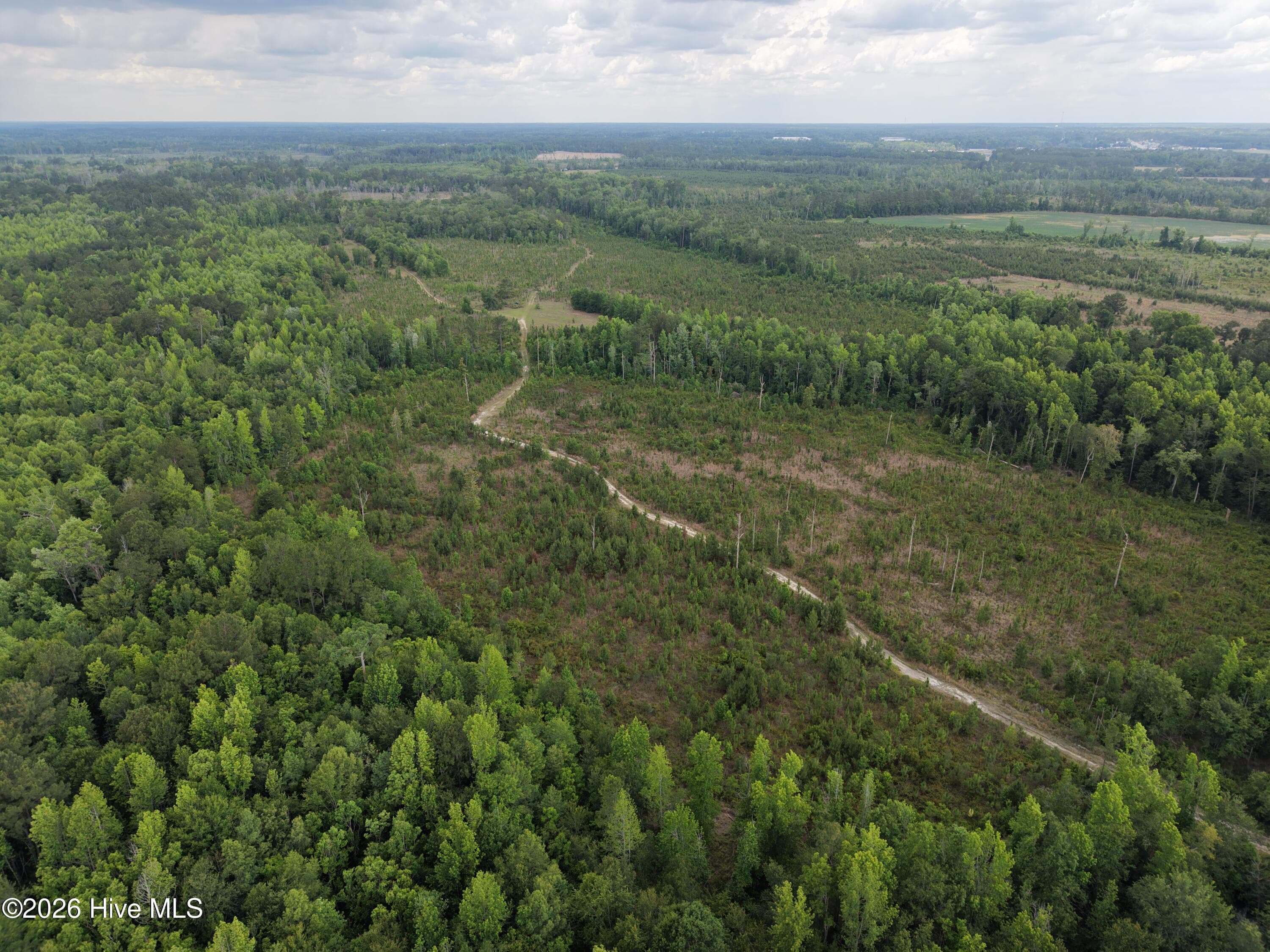 Agriculture at 0 S Hwy 129, Metter, GA 30439, photo 14 of 16