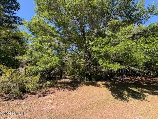 Residential Lot at 1994 Redfish Run SW, Supply, NC 28462, photo 2 of 7