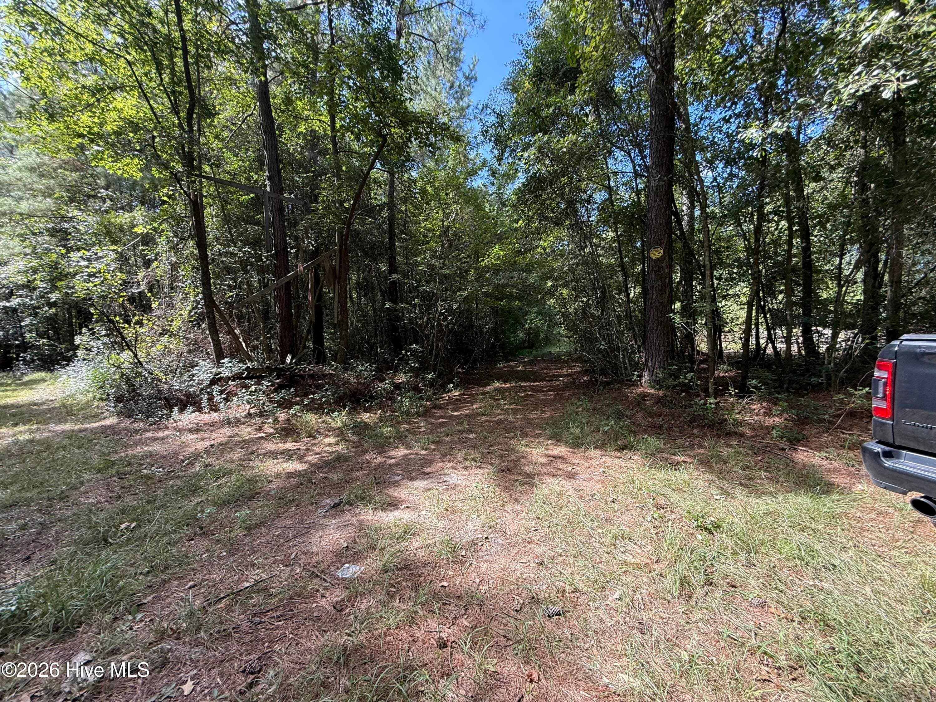 Wooded at Tbd Point Caswell Road, Atkinson, NC 28421, photo 2 of 16