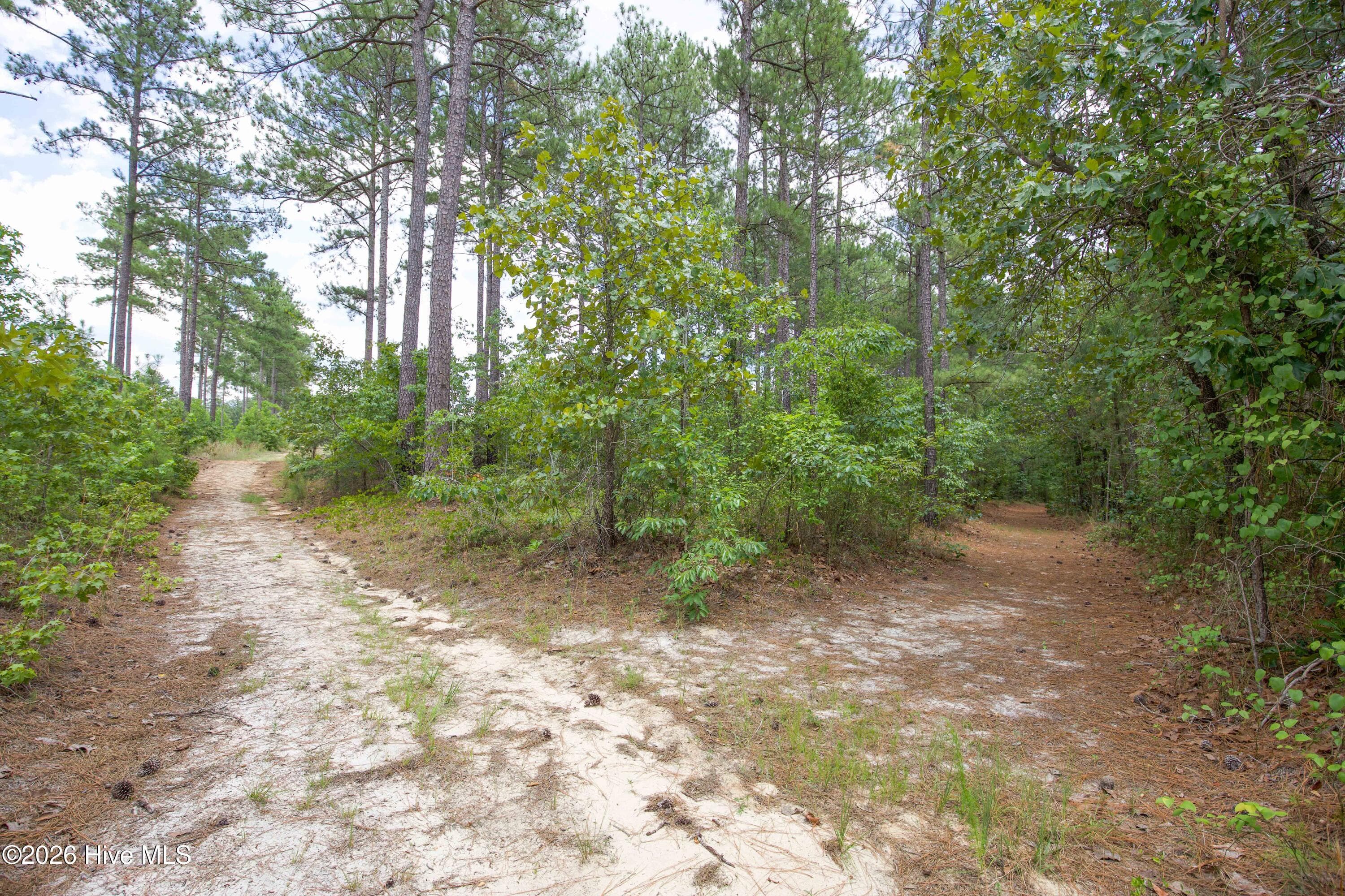 Horse Farm at 220 44B Justin Way, Foxfire Village, NC 27281, photo 66 of 69