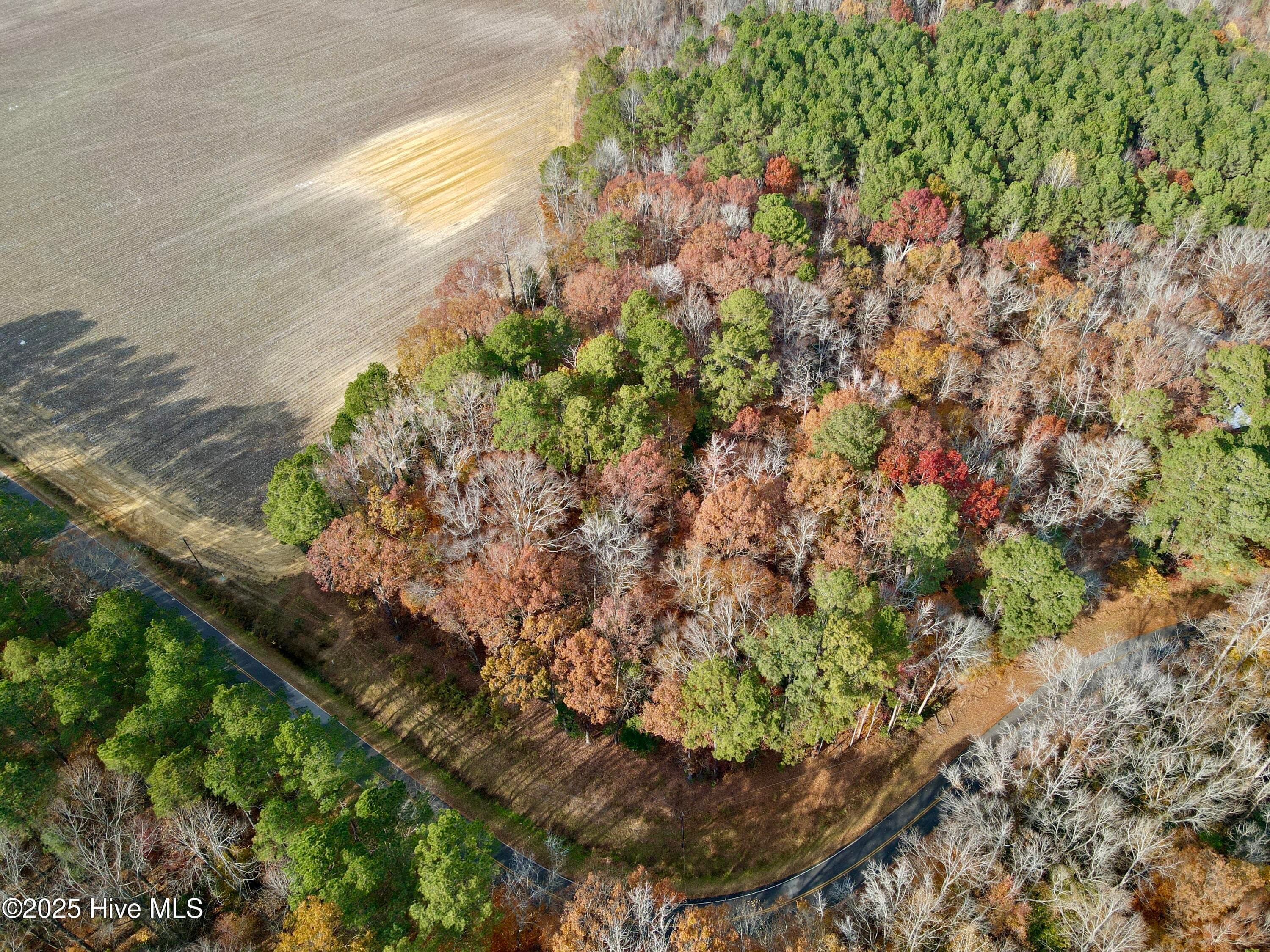 Wooded at 0 Williams Road, Williamston, NC 27892, photo 3 of 16