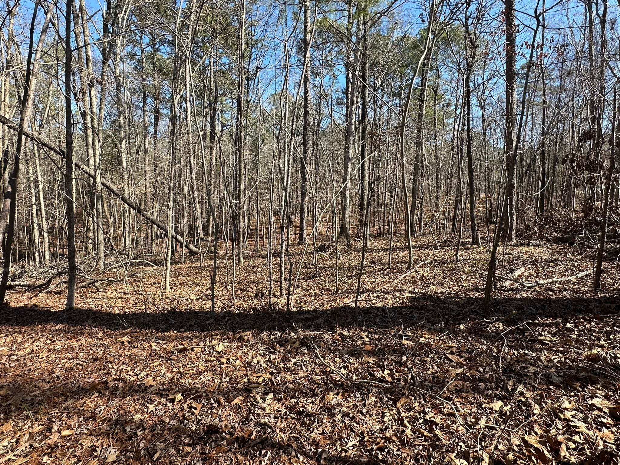 Residential Lot at 117 B35 L9 Cumberland Drive, McCormick, SC 29835, photo 5 of 14