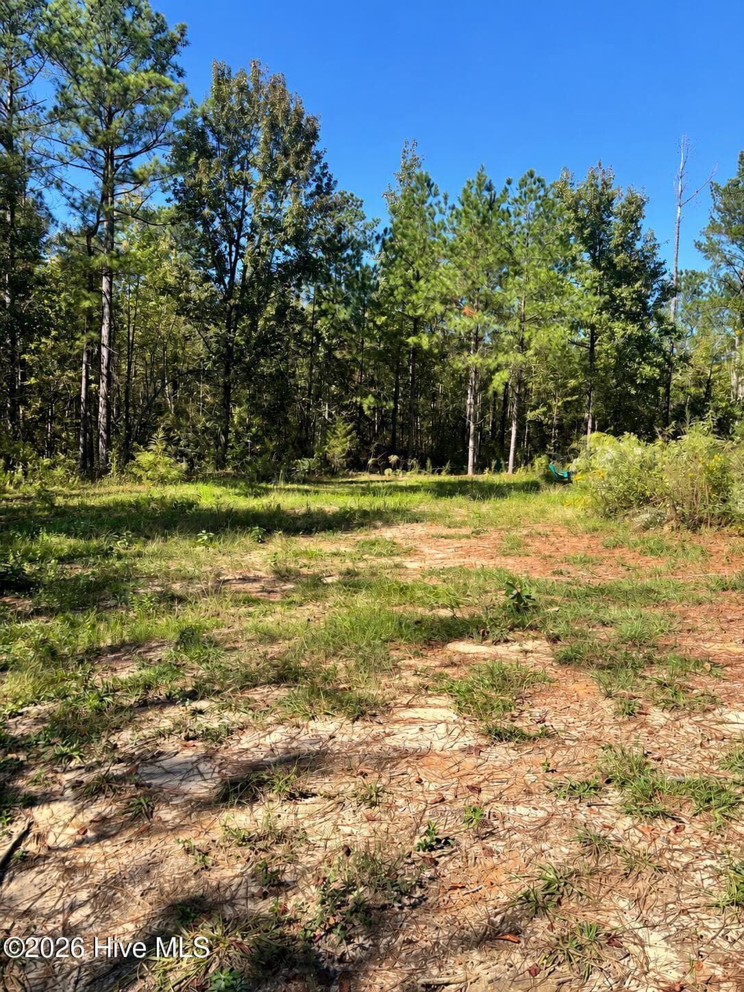 Residential Lot at 3245 10 Ga Highway 88, Blythe, GA 30805, photo 2 of 5