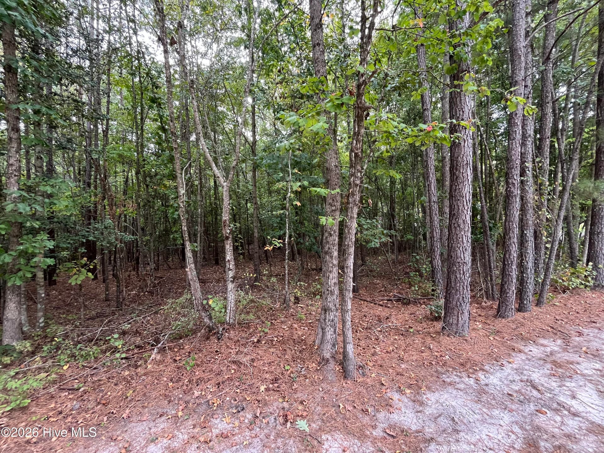 Residential Lot at 410 5 Bingham Street, Carthage, NC 28327, photo 4 of 10