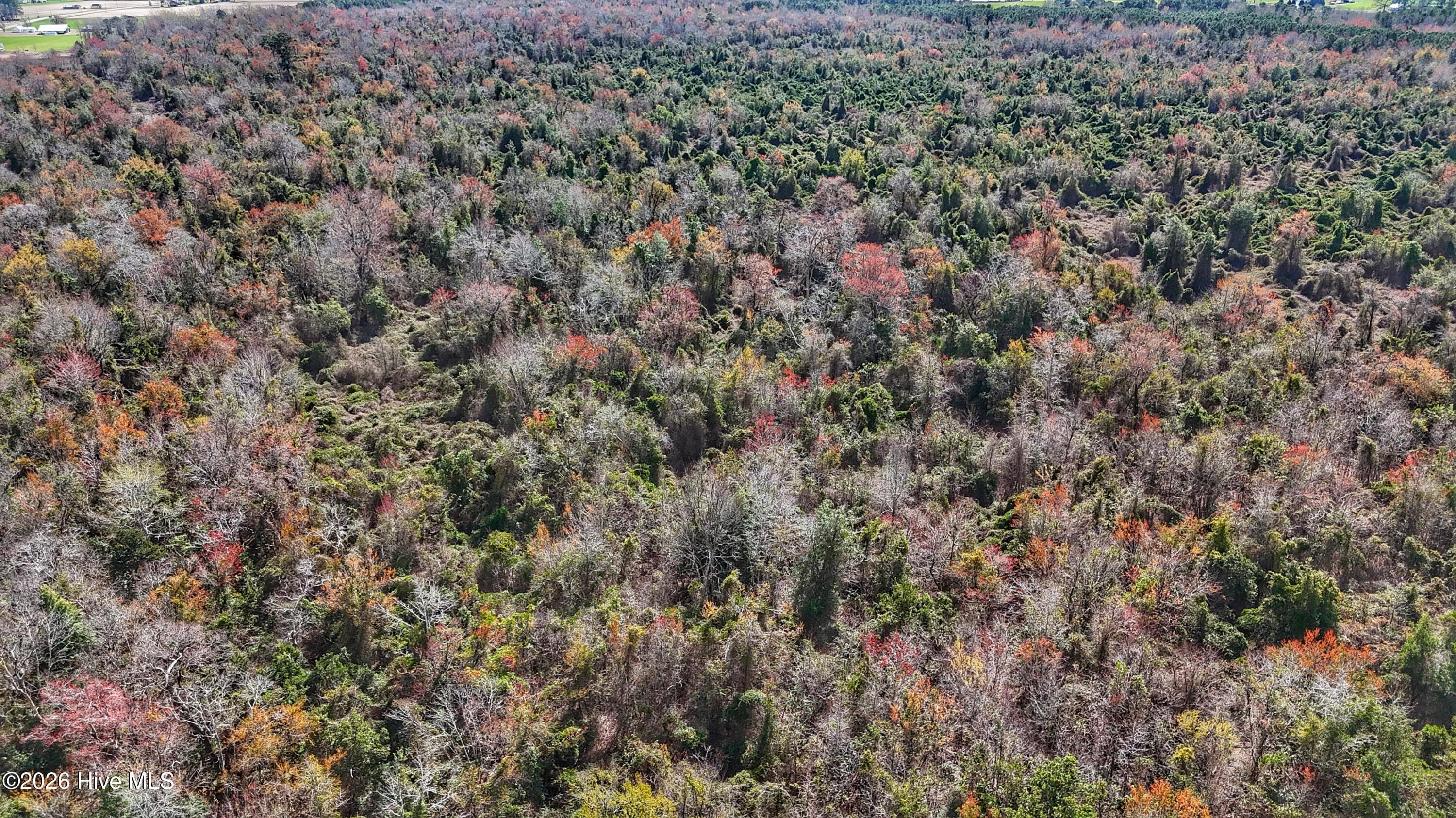 Wooded at 1612 Rocky Hock Landing Road, Edenton, NC 27932, photo 41 of 45