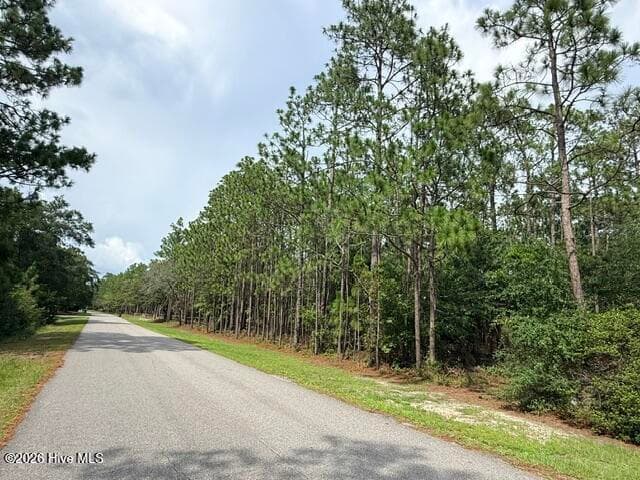 Property is on the right side of the street - L-26 & 27 26/27 Eden Drive, Boiling Spring Lakes, NC 28461