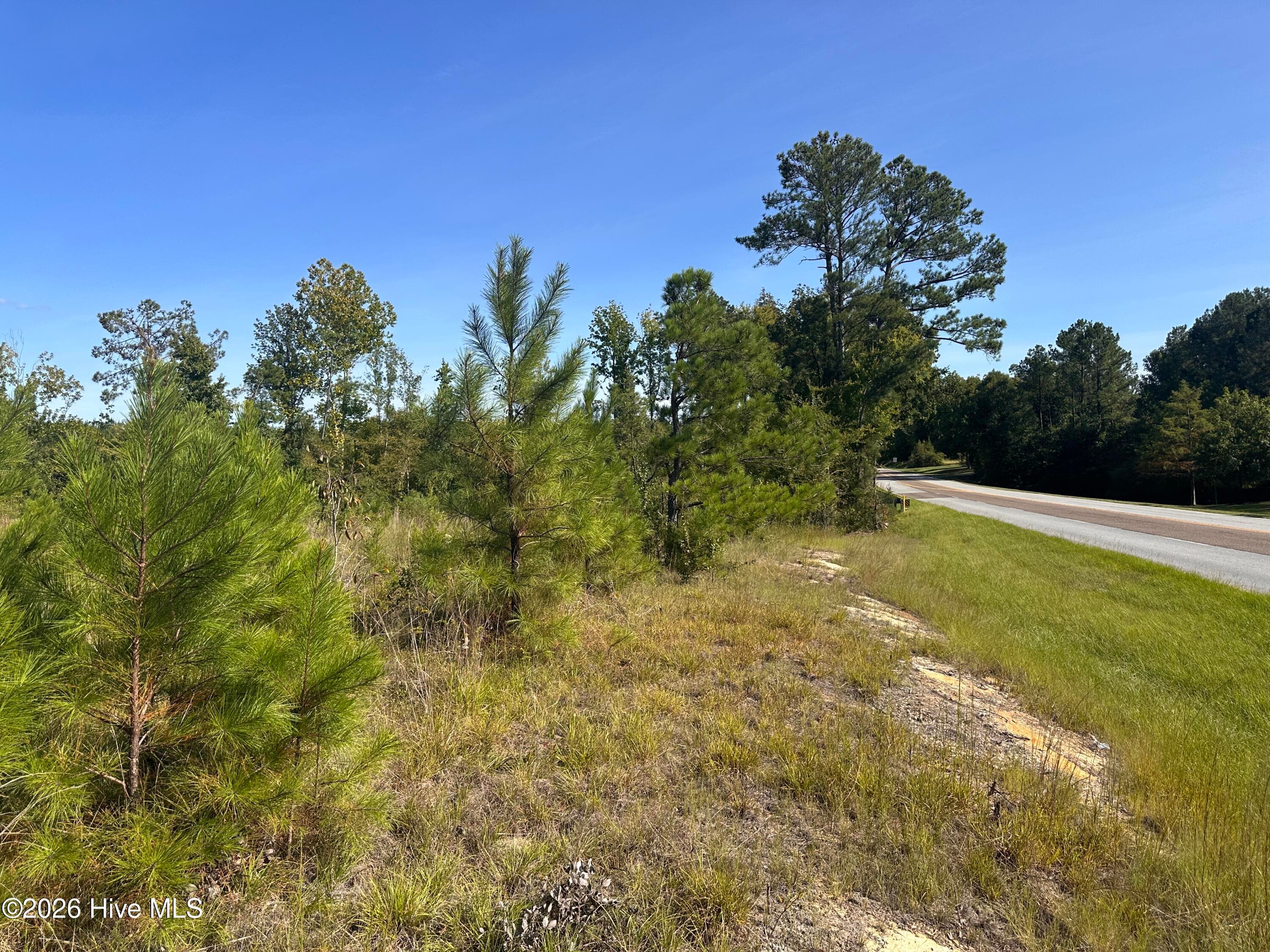 Mixed Use at Hwy 139 And Hwy 28 Old Plum Branch Rd S, Plum Branch, SC 29845, photo 4 of 8