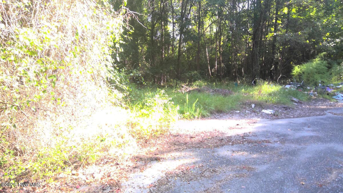 0.11 Ac Oak Street, Kinston, NC 28501