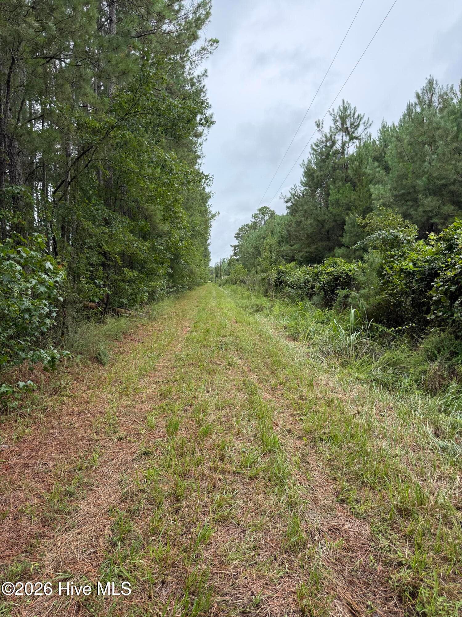 359 Roe And Sarah Drive, Clarkton, NC 28433