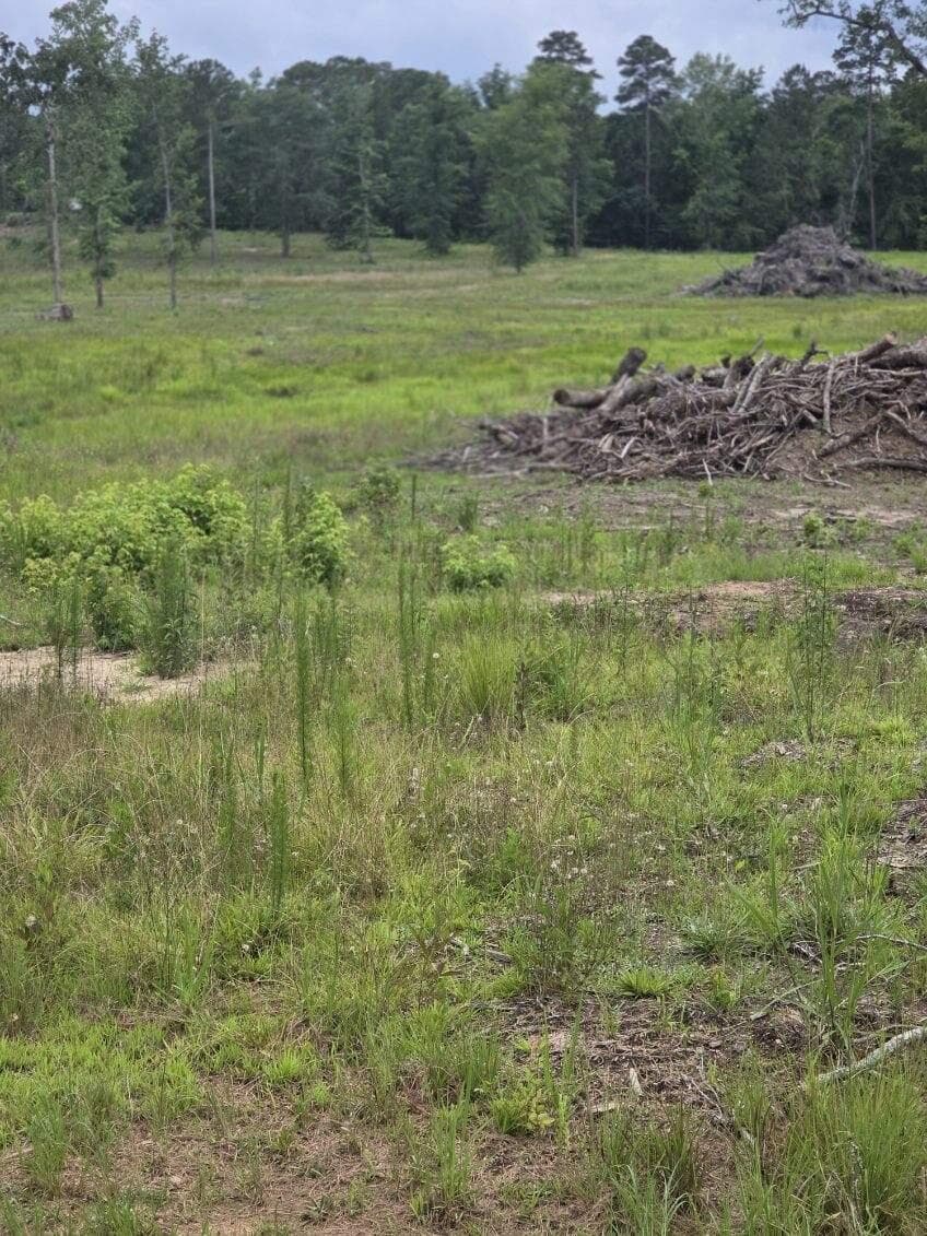 Residential Lot at 365 Shagbark Way, Harlem, GA 30814, photo 2 of 3