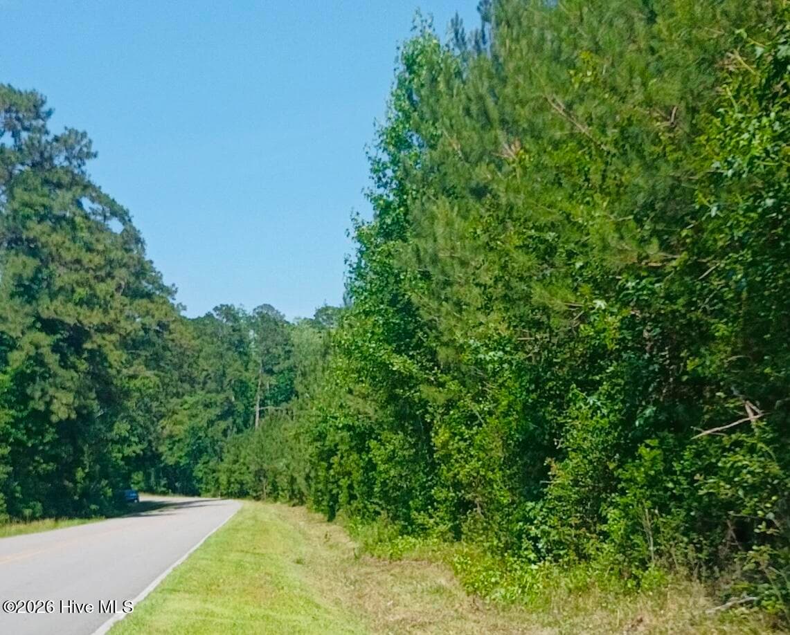 82 Acres Point Caswell Rd Road, Atkinson, NC 28421