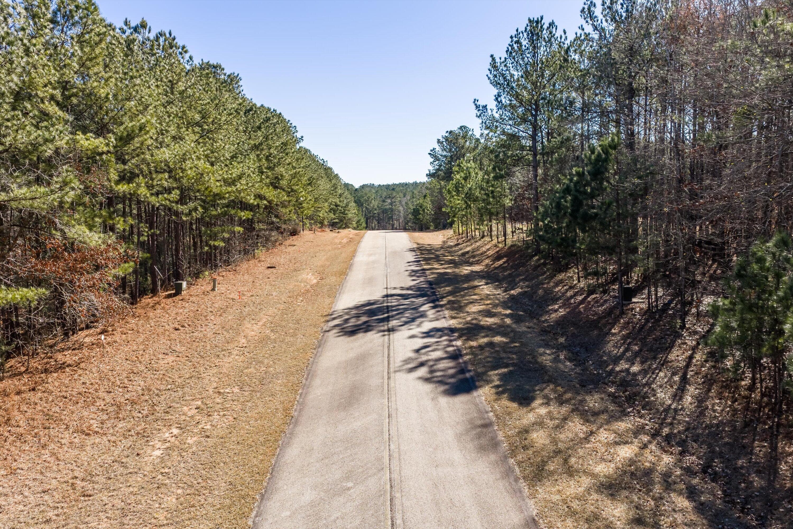 Residential Lot at Lot 64 Wisteria Drive, Lincolnton, GA 30817, photo 6 of 27