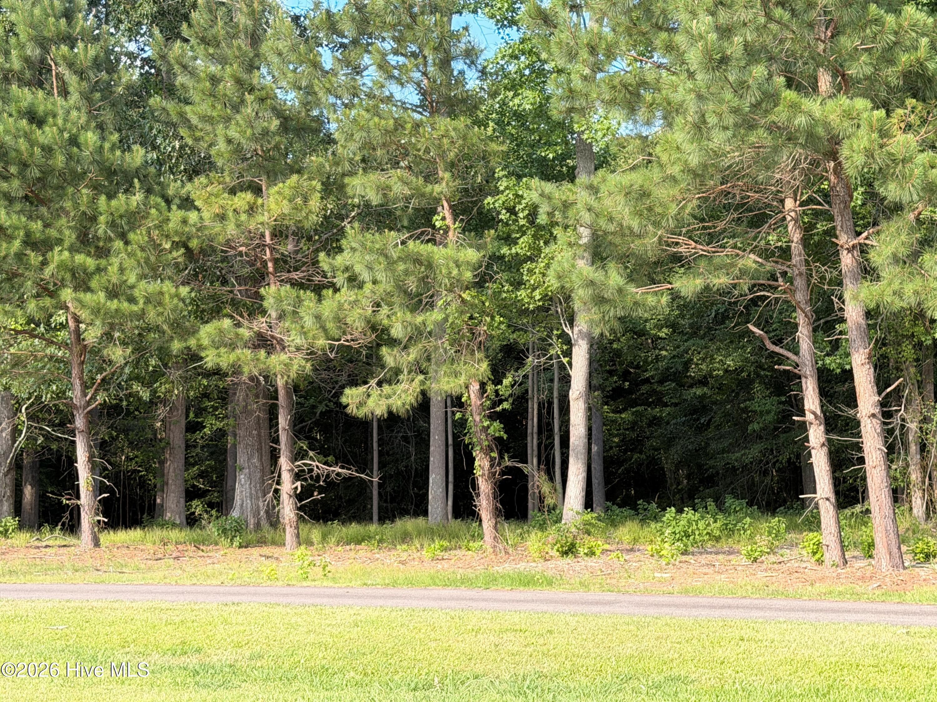 Residential Lot at 460 Batchelor Bay Drive, Windsor, NC 27983, photo 6 of 12