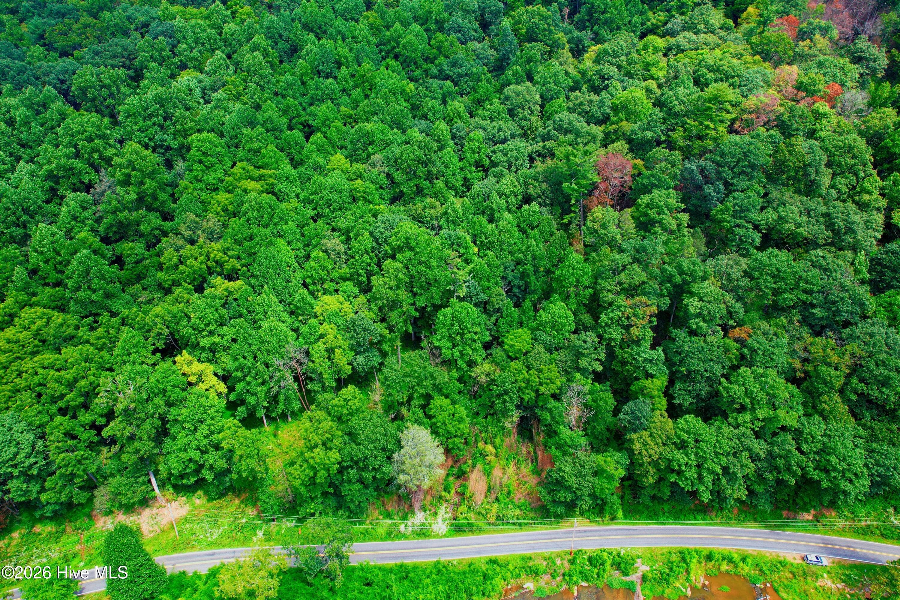 Undeveloped at 2872 Panther Creek Road, Clyde, NC 28721, photo 50 of 82