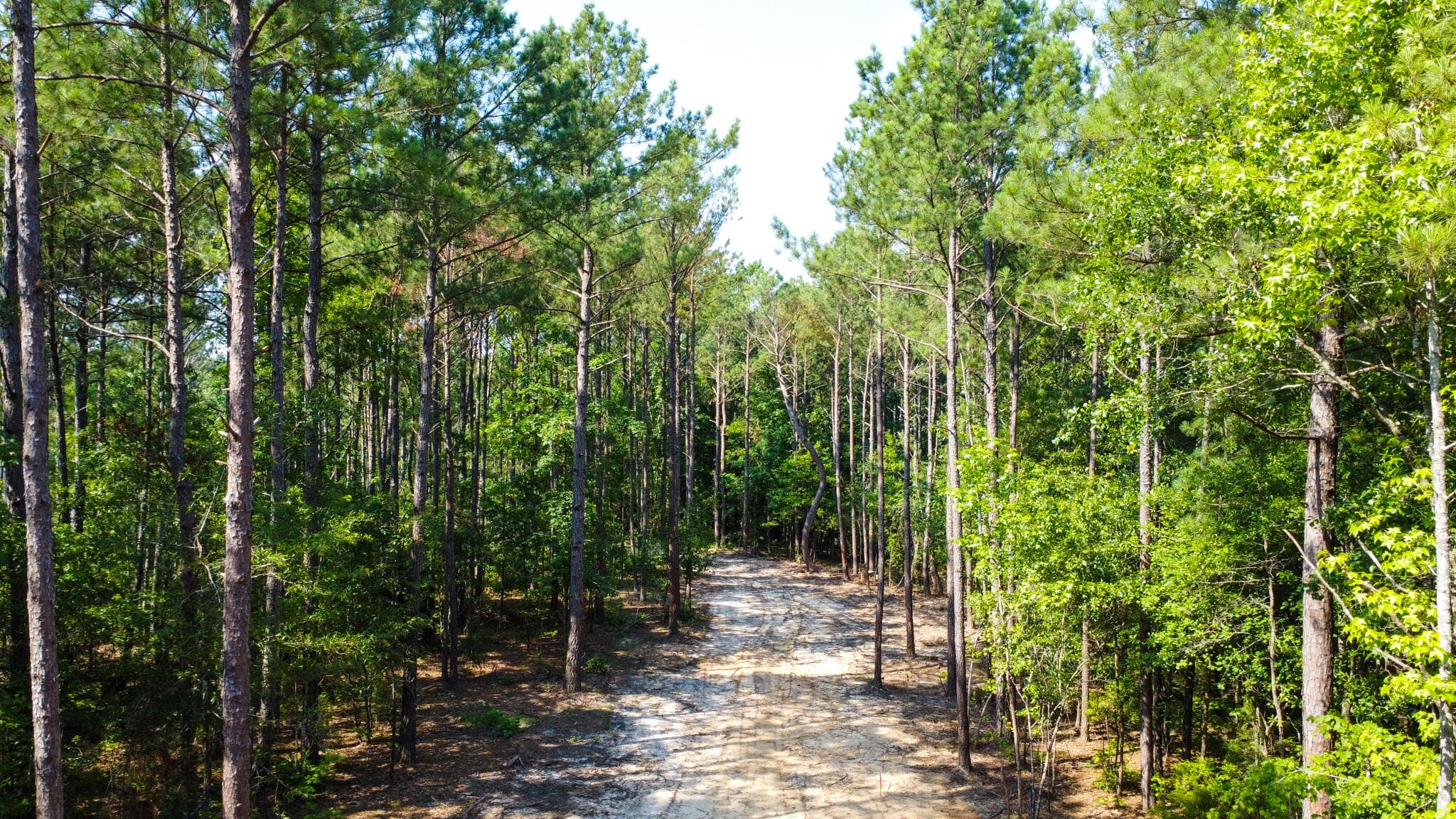 Undeveloped at 0 Backway Road, Lincolnton, GA 30817, photo 24 of 48