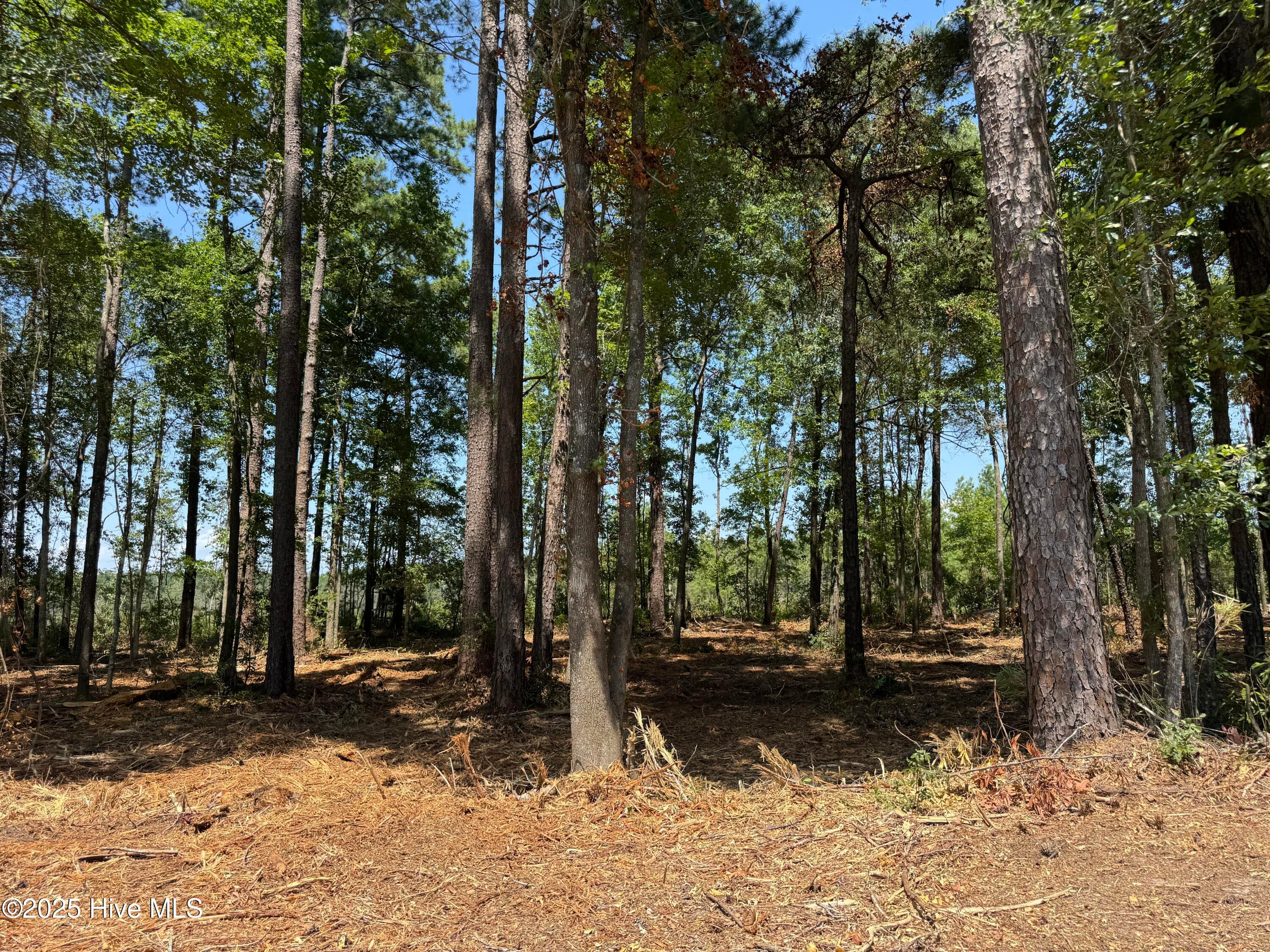 Lot 5 Near 4102 Swamp Fox (Lot 5) Highway W, Tabor City, NC 28463