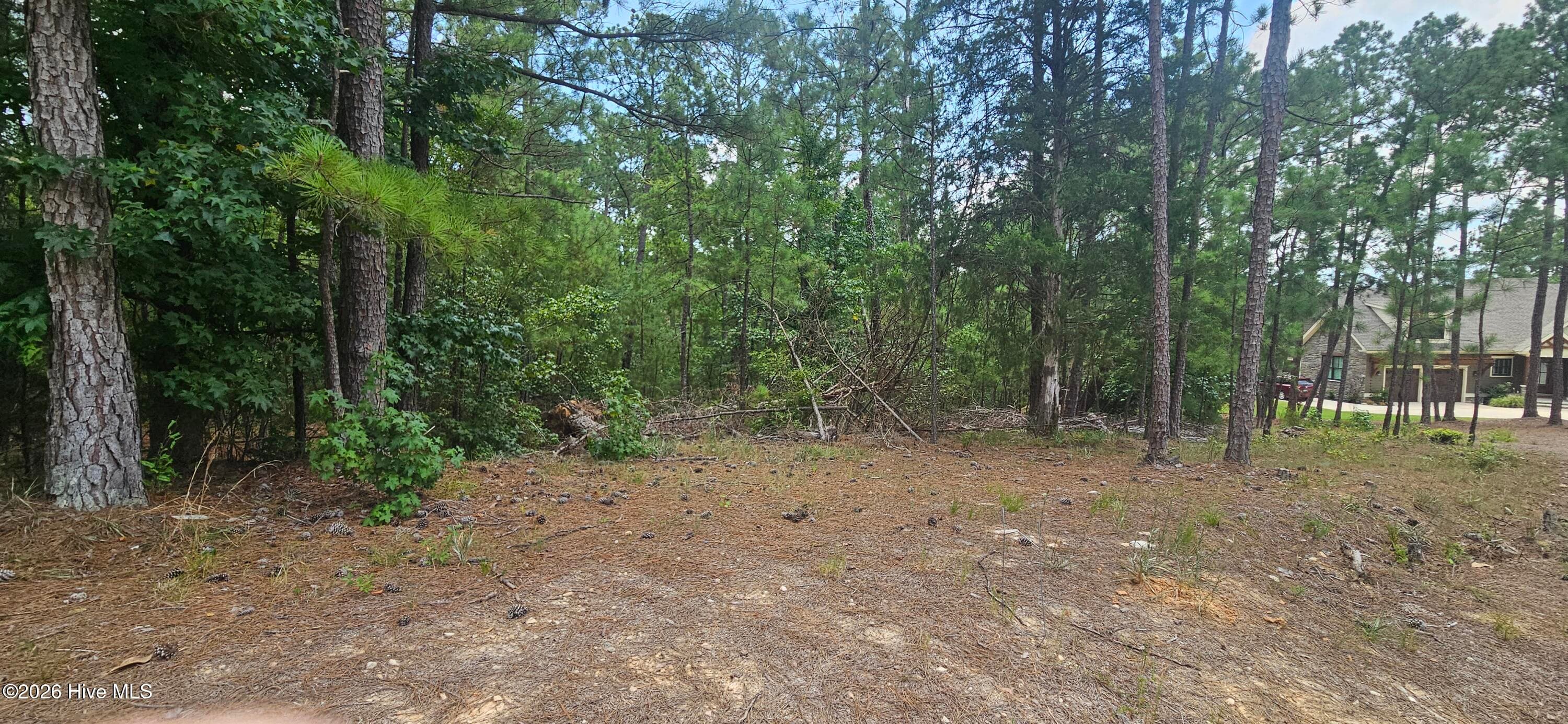 Lot 2 Amelia Drive, McCormick, SC 29835