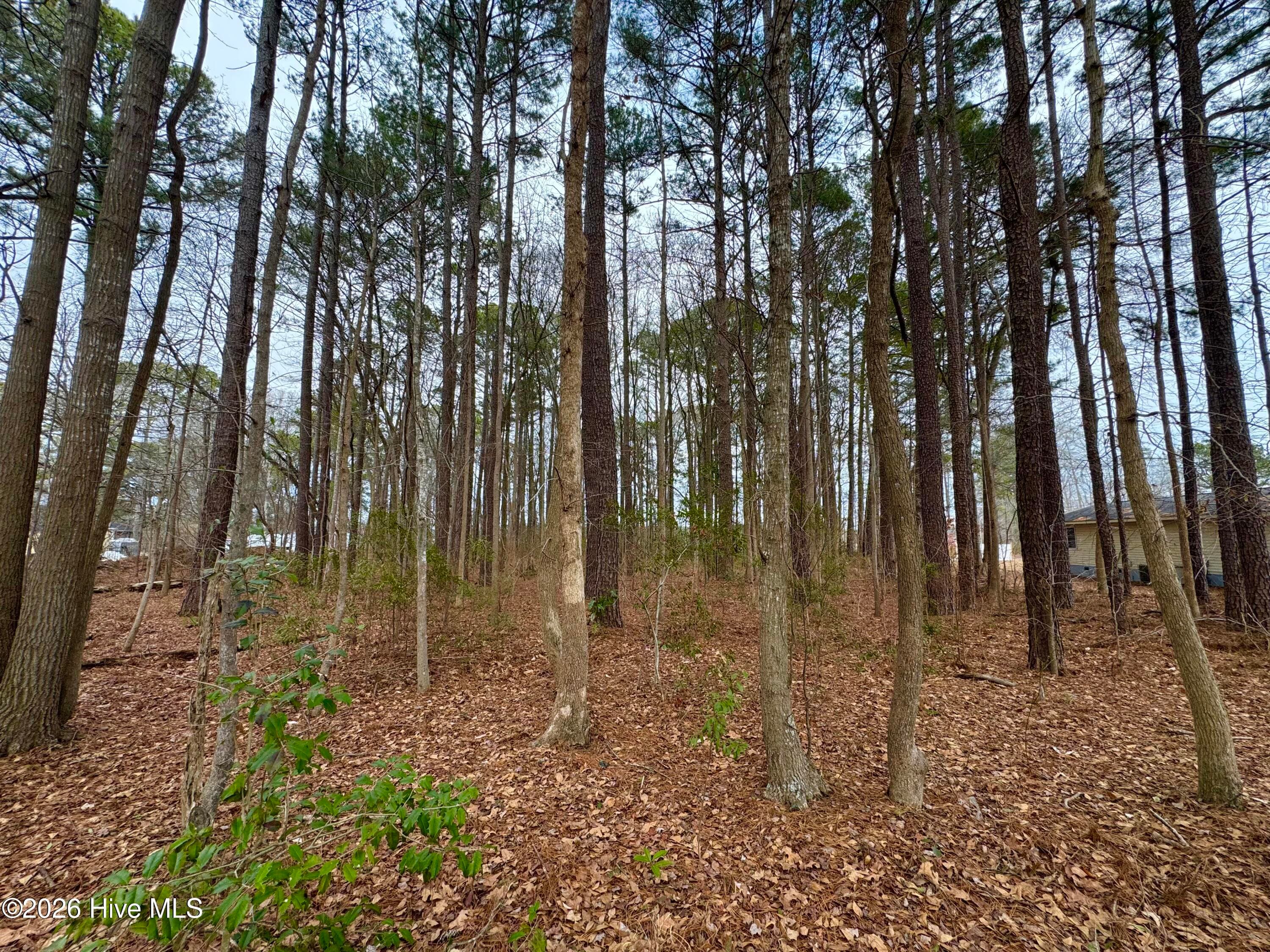 Residential Lot at 0 Lincoln Drive, Kenly, NC 27542, Kenly, photo 4 of 7