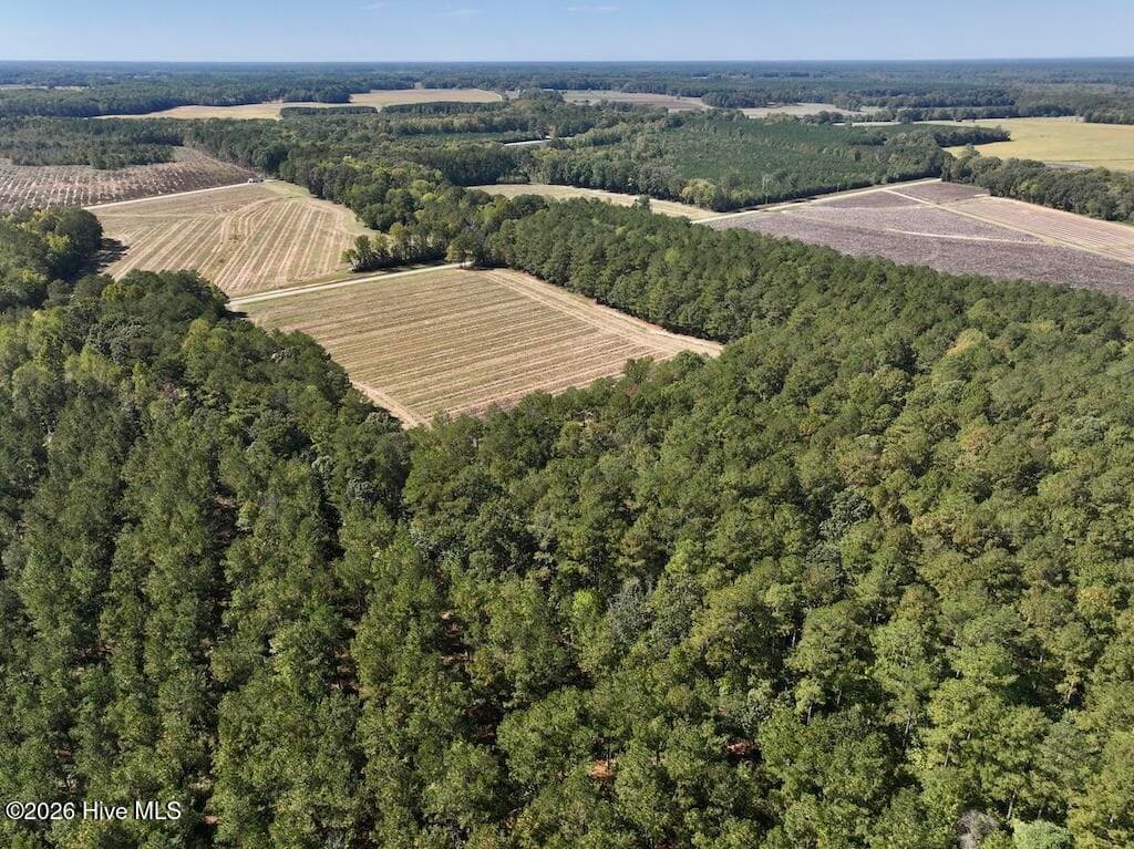 Mixed Use at 0 Spring Hill Road, Scotland Neck, NC 27874, photo 6 of 93