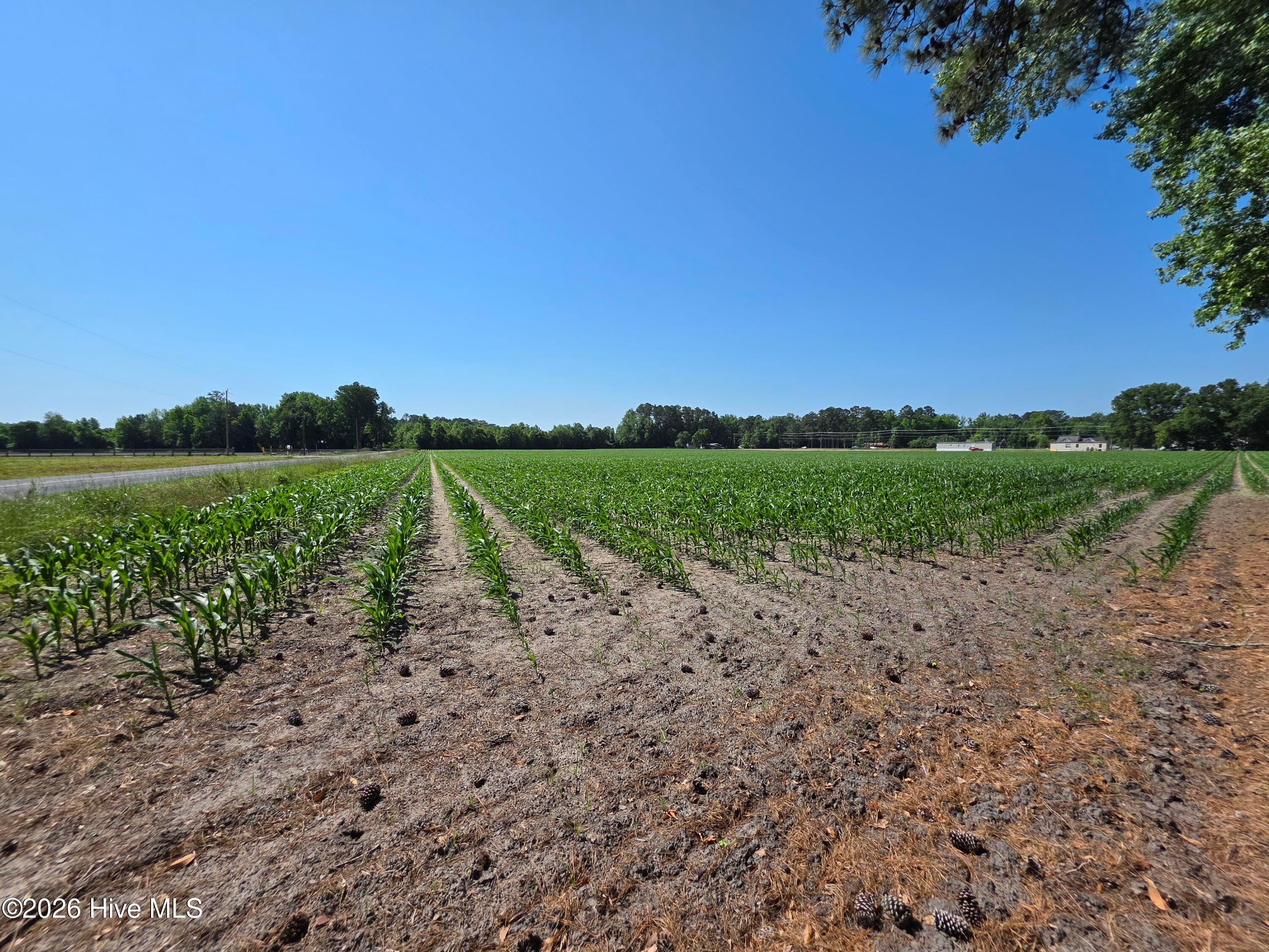0 Old Brick Road, Vanceboro, NC 28586