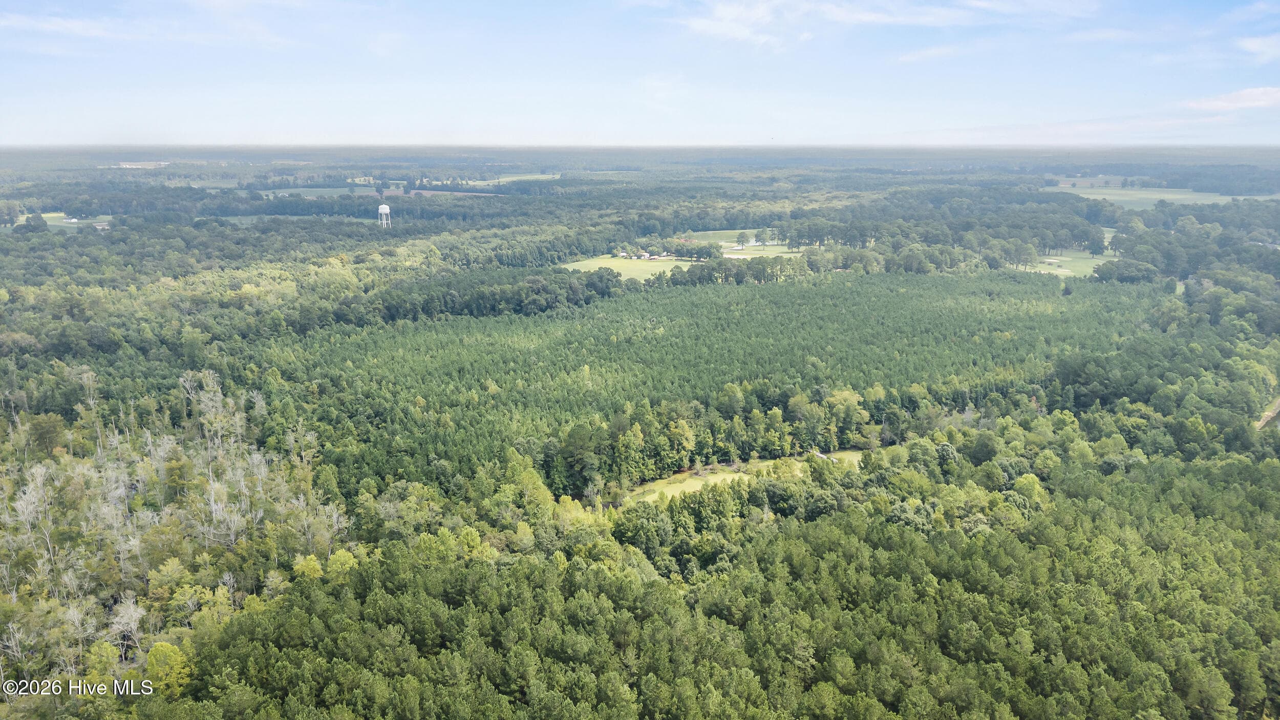 Wooded at Tba Bill Hooks Road, Whiteville, NC 28472, photo 6 of 11