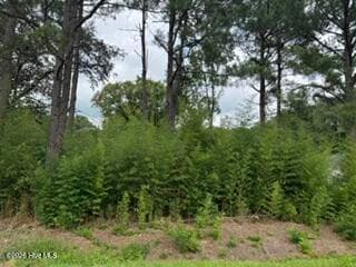 Undeveloped at 1298 3 Moores Chapel Road, Lillington, NC 27546, photo 4 of 5
