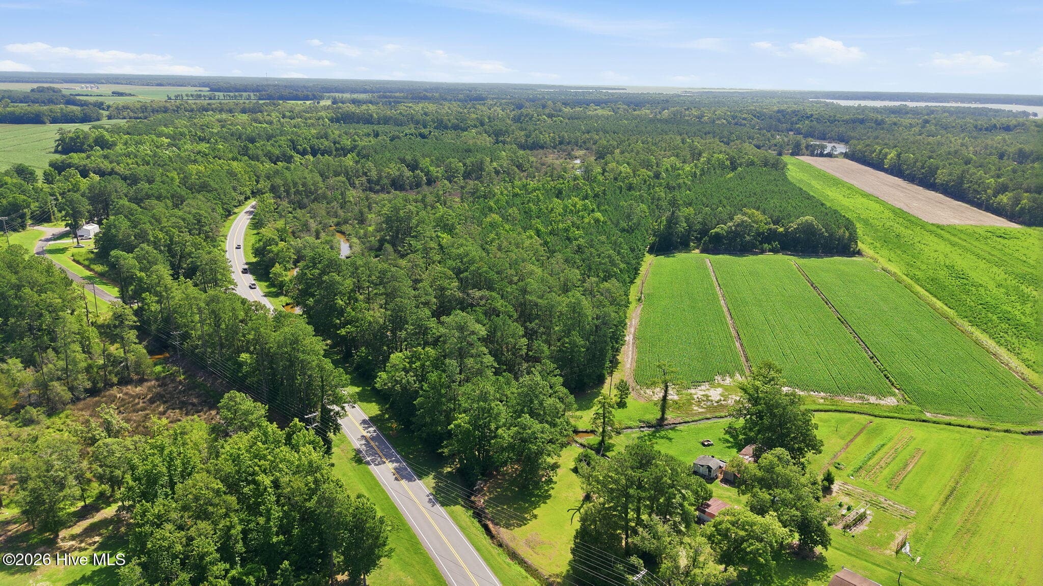 Undeveloped at 0 Nc 304, Bayboro, NC 28515, photo 3 of 21