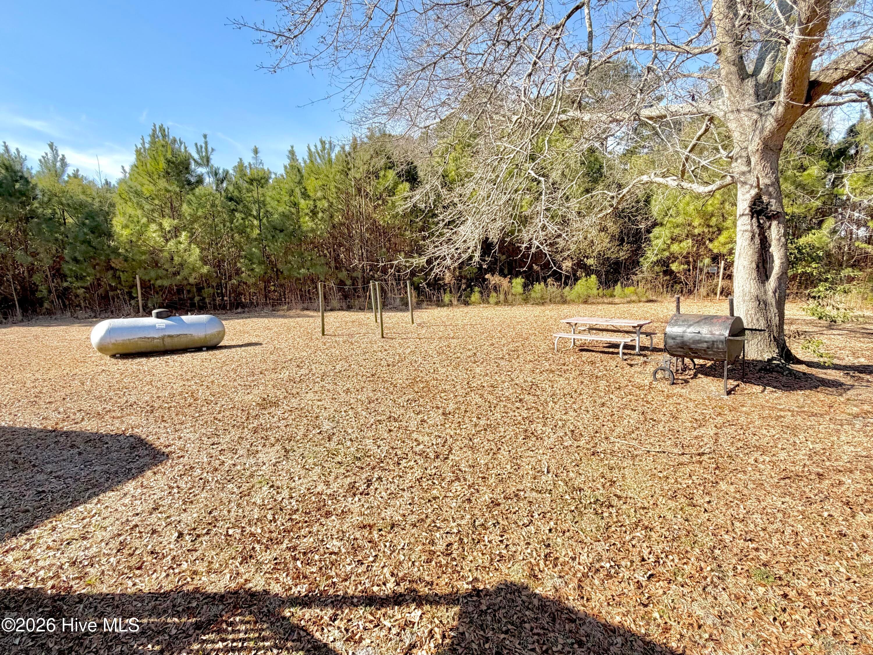 Private back yard - 5978 Hwy 258 S, Deep Run, NC 28525