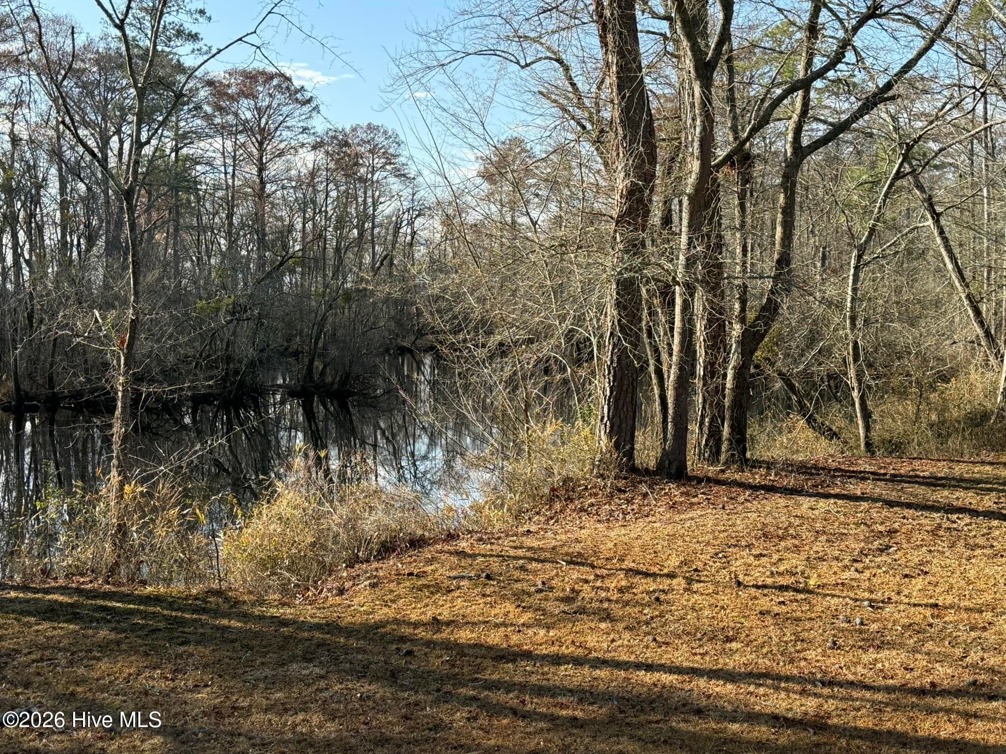Residential Land at 103 Raccoon, Washington, NC 27889, photo 5 of 8