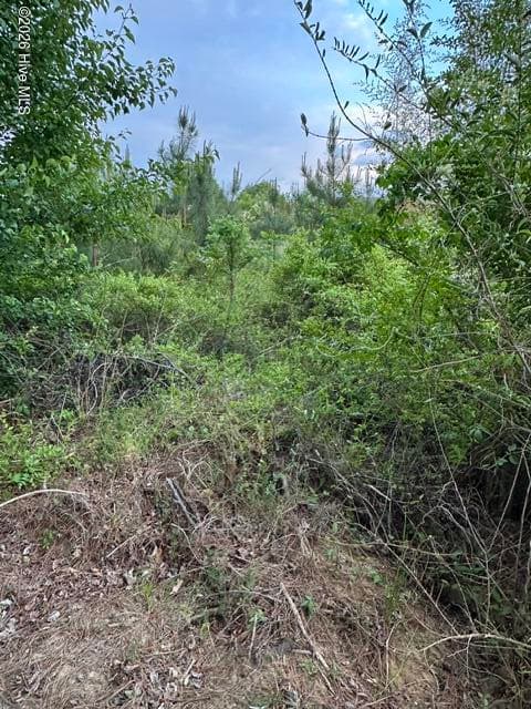 Duke Rd - 000 Duke Road, Castalia, NC 27816