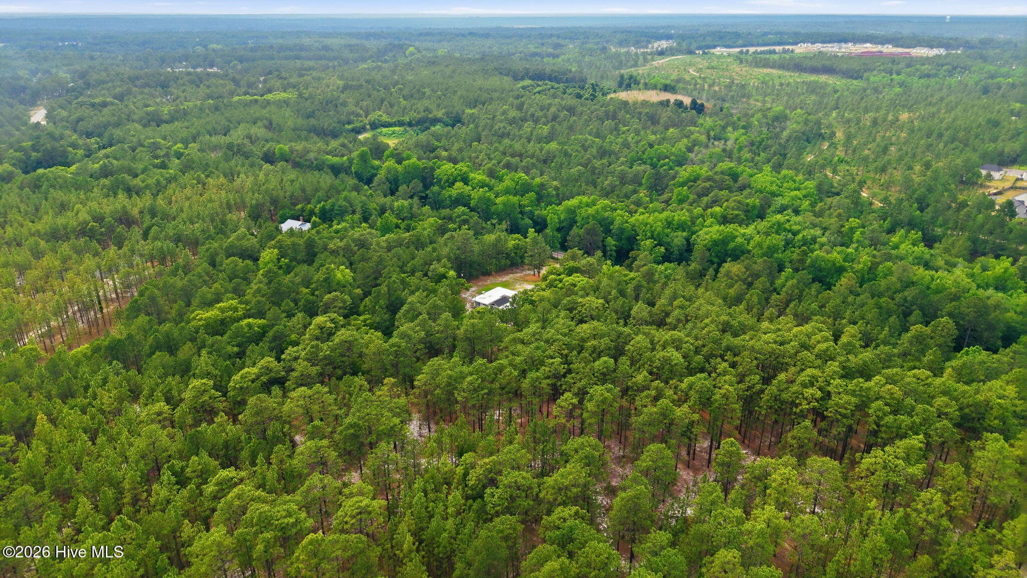 Undeveloped at 631 Roseland Road, Aberdeen, NC 28315, photo 12 of 16