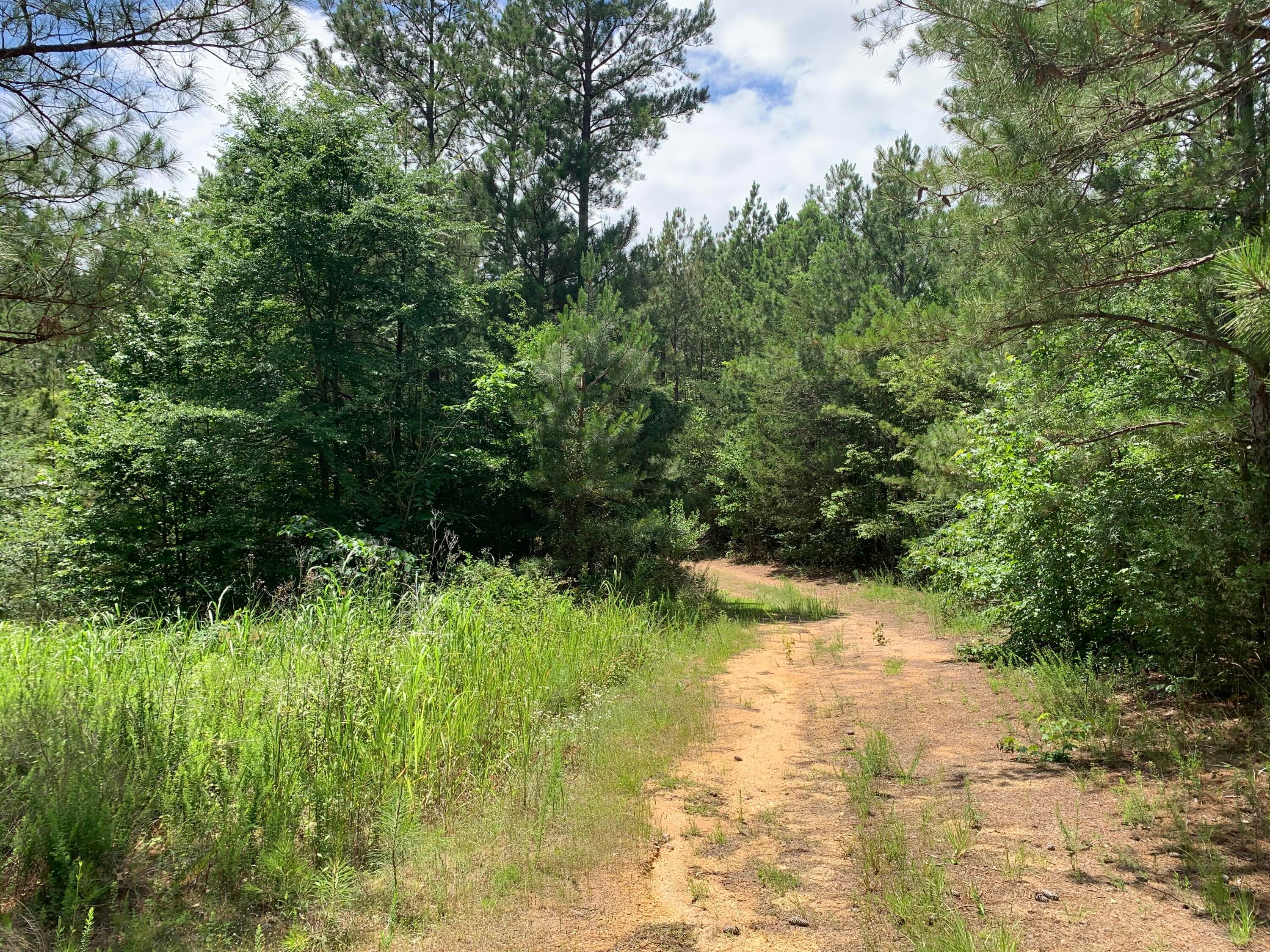 Interior Road - Na Metasville Road, Lincolnton, GA 30817