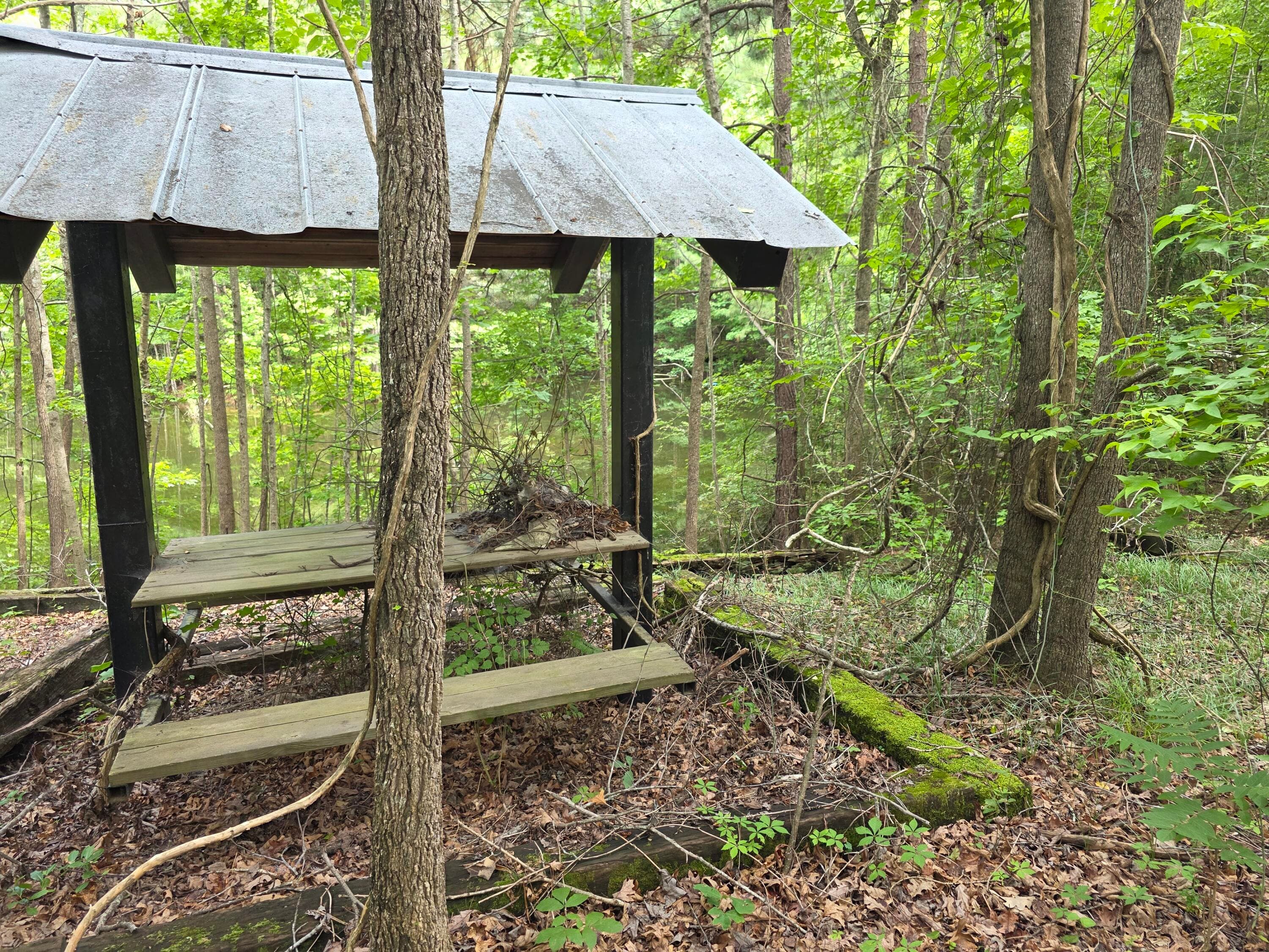 Undeveloped at 2031 Mcdade Road, Hephzibah, GA 30815, photo 6 of 16
