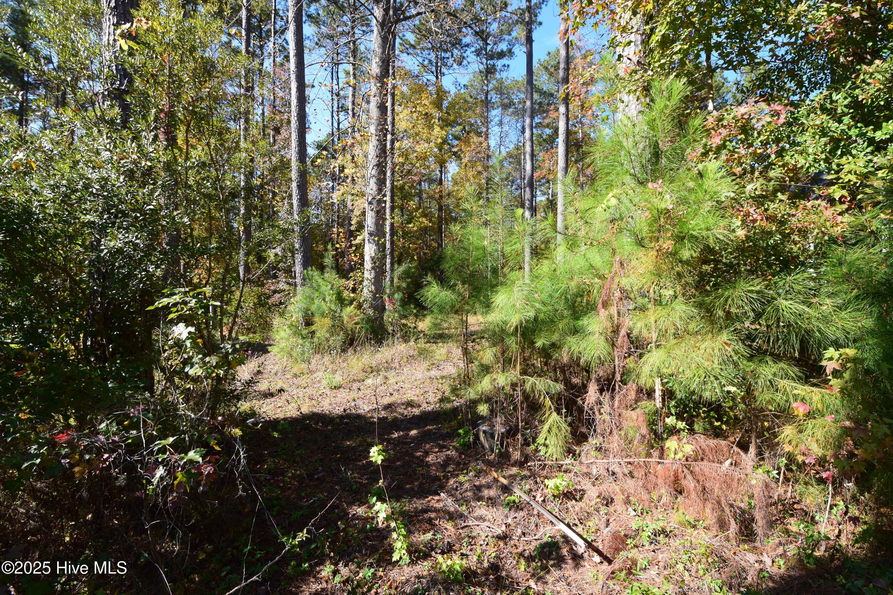 Residential Lot at 1005 16 Alabaster Drive, New Bern, NC 28562, photo 4 of 4