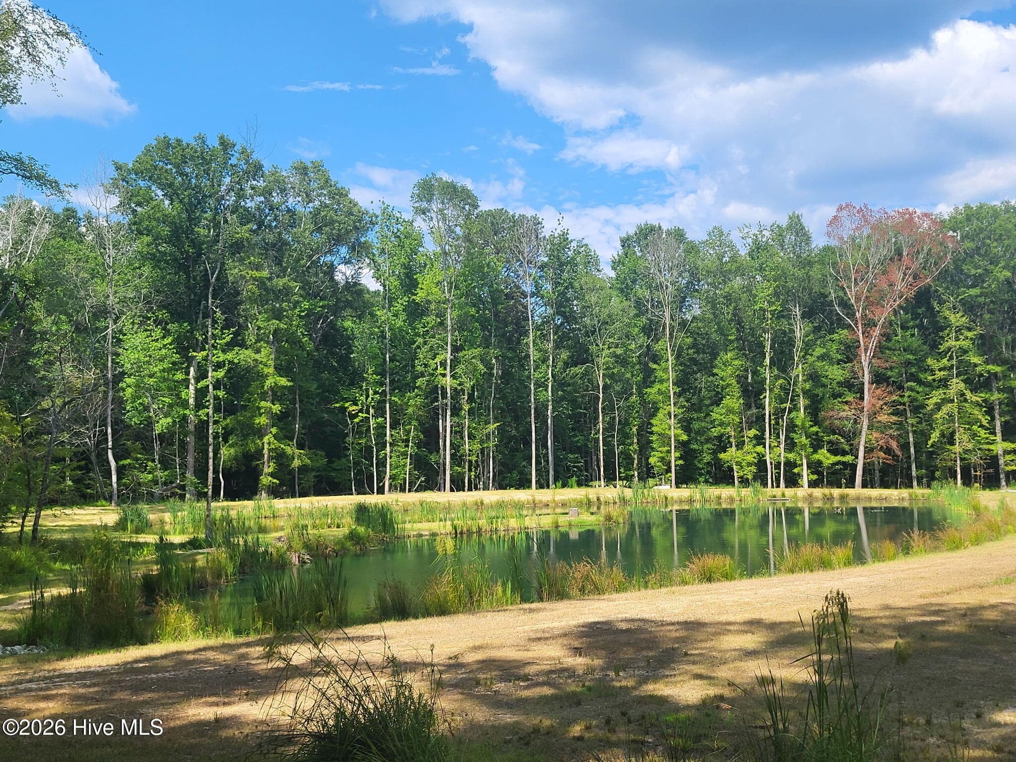 Mixed Use at 000 Court Ground Road, Washington, GA 30673, photo 14 of 52
