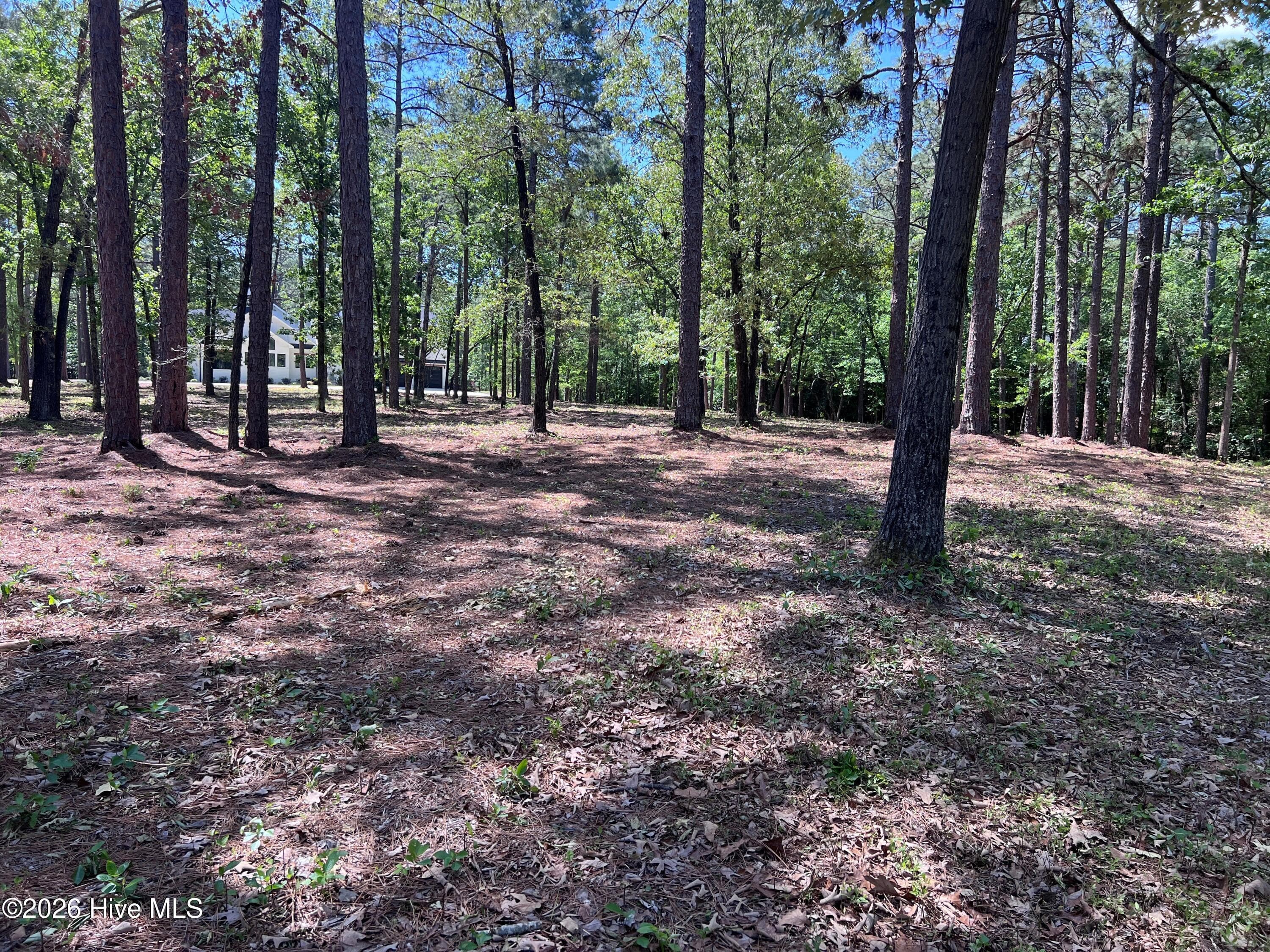 Residential Lot at 231 911R Meyer Farm Drive, Pinehurst, NC 28374, photo 8 of 13