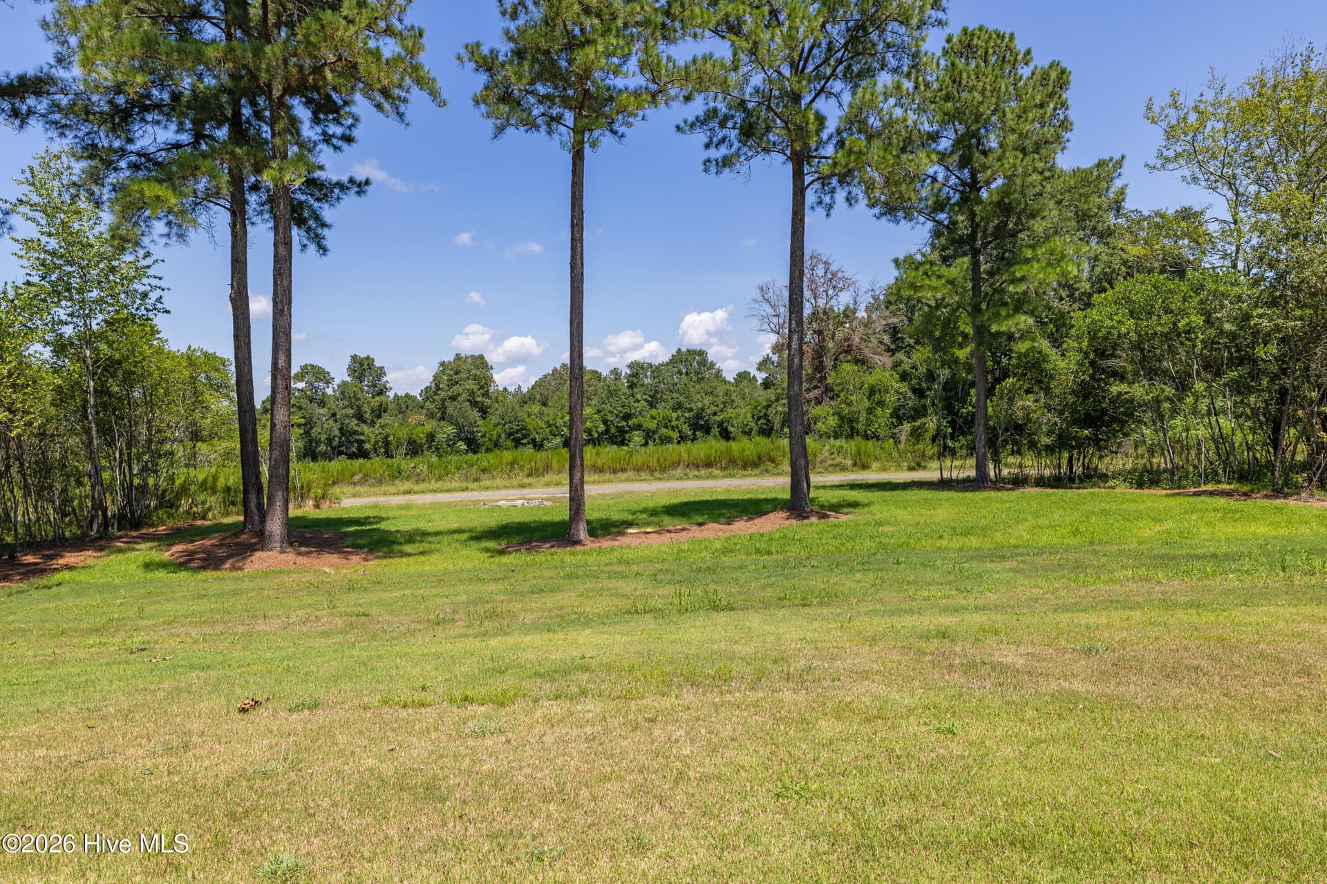 Mature trees - 1096 Bellingham Drive, Beech Island, SC 29842