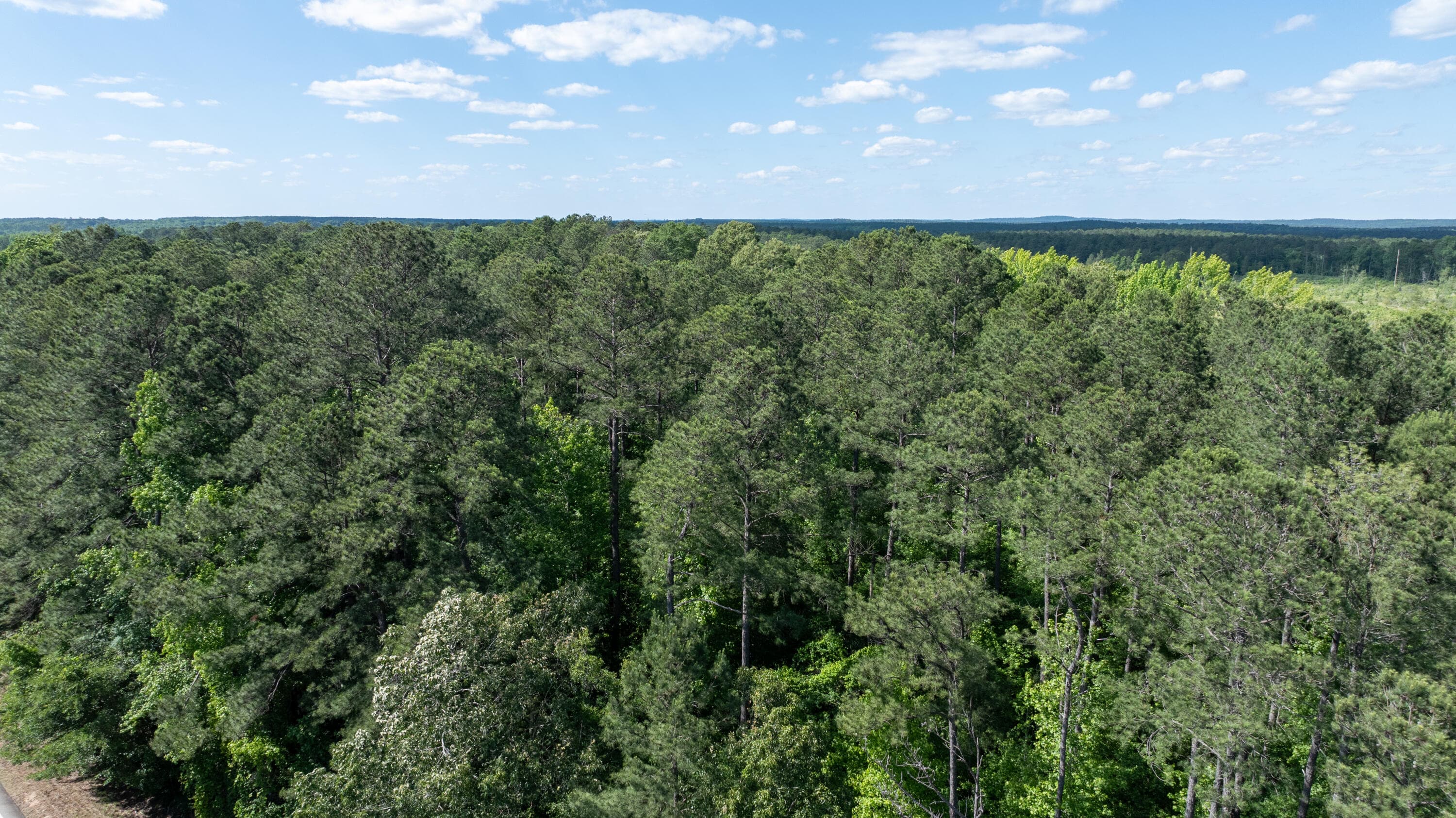 Mixed Use at Lot 3a 3A Elberton Highway, Lincolnton, GA 30817, photo 21 of 27