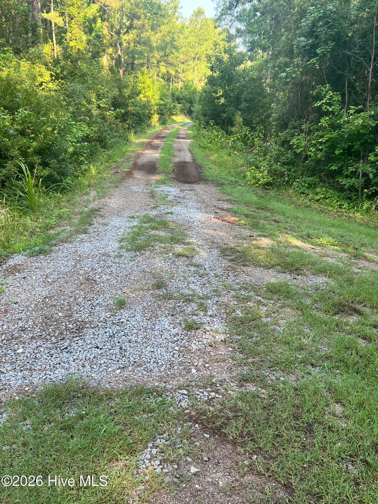 Residential Lot at Lot 2 & 3 Strawhorn Creek Road, Aurora, NC 27806, photo 11 of 18