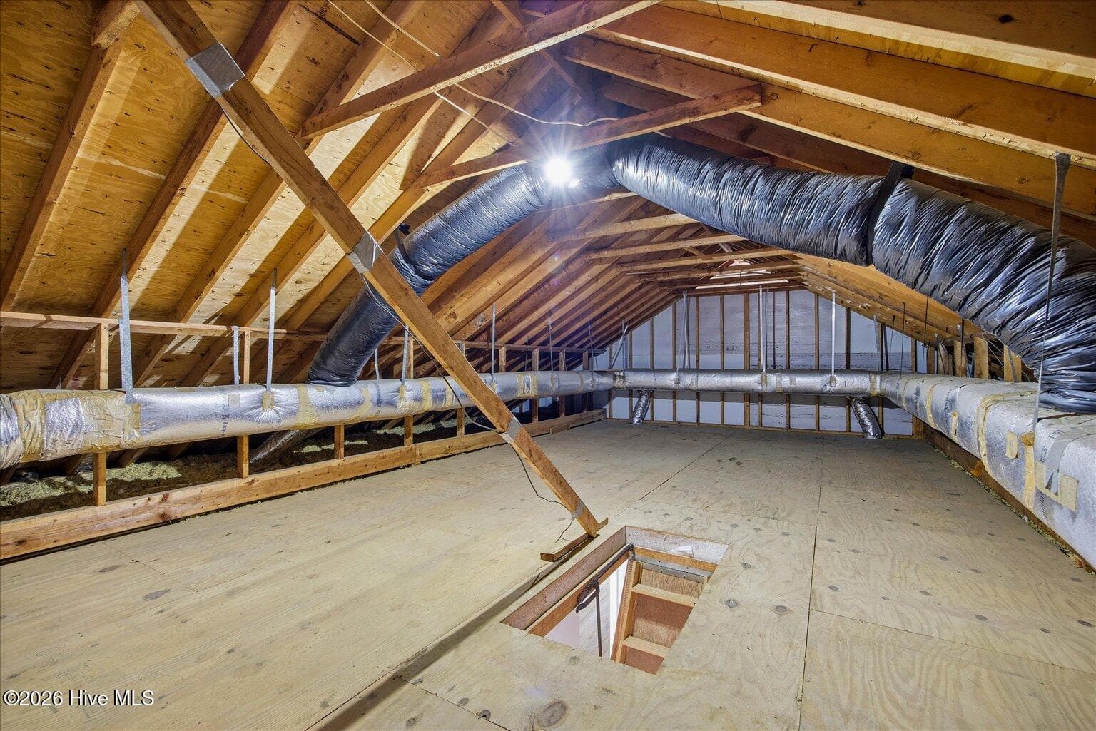 Massive attic storage - 101 Spanish Moss Way, Wilmington, NC 28412