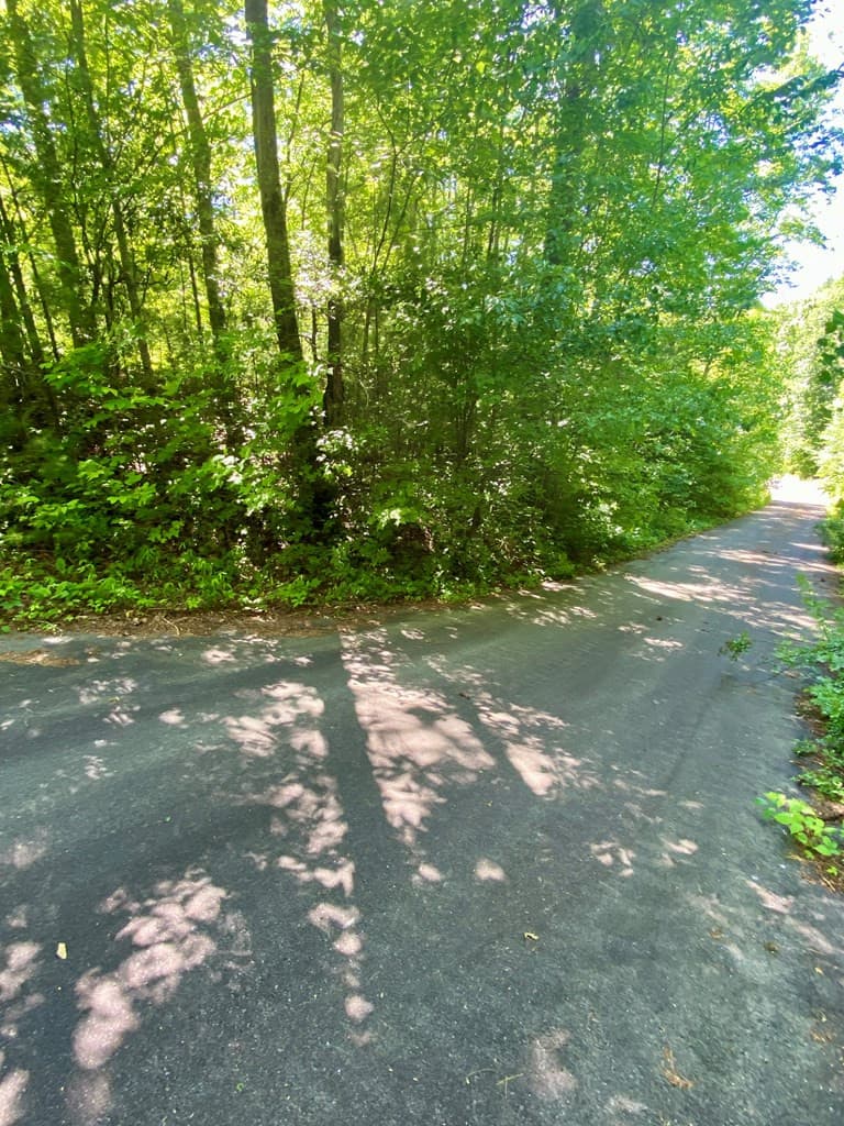 Land at 00 Deer Run, Robbinsville, NC 28771, photo 2 of 8