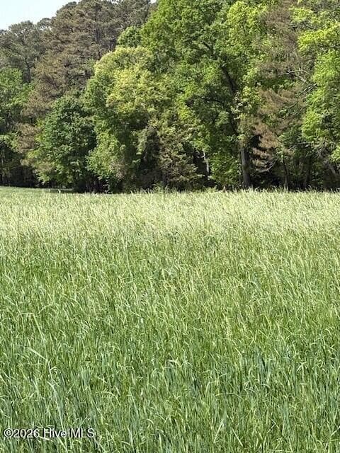 Agriculture at 000 Leon Road, Nashville, NC 27856, photo 4 of 6