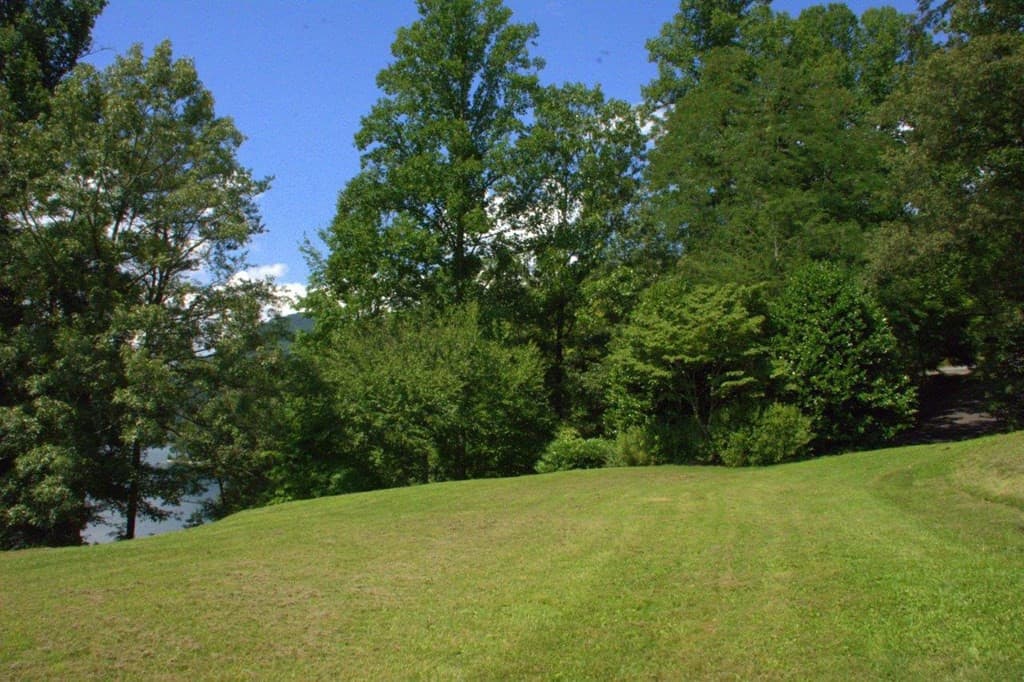 Land at 00 Lakeside Trail, Robbinsville, NC 28771, photo 8 of 11
