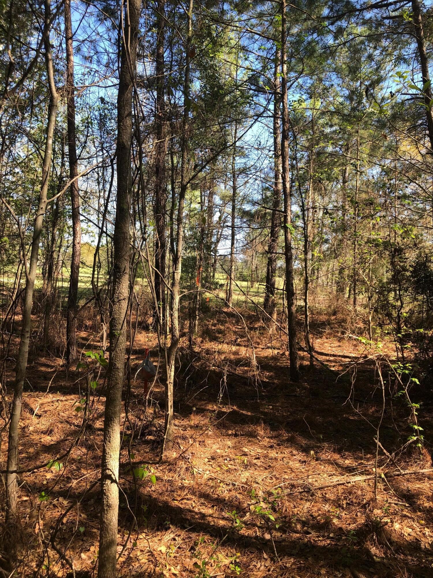 Undeveloped at 4.17 Acres Starr Hinson Road, Thomson, GA 30824, photo 15 of 17