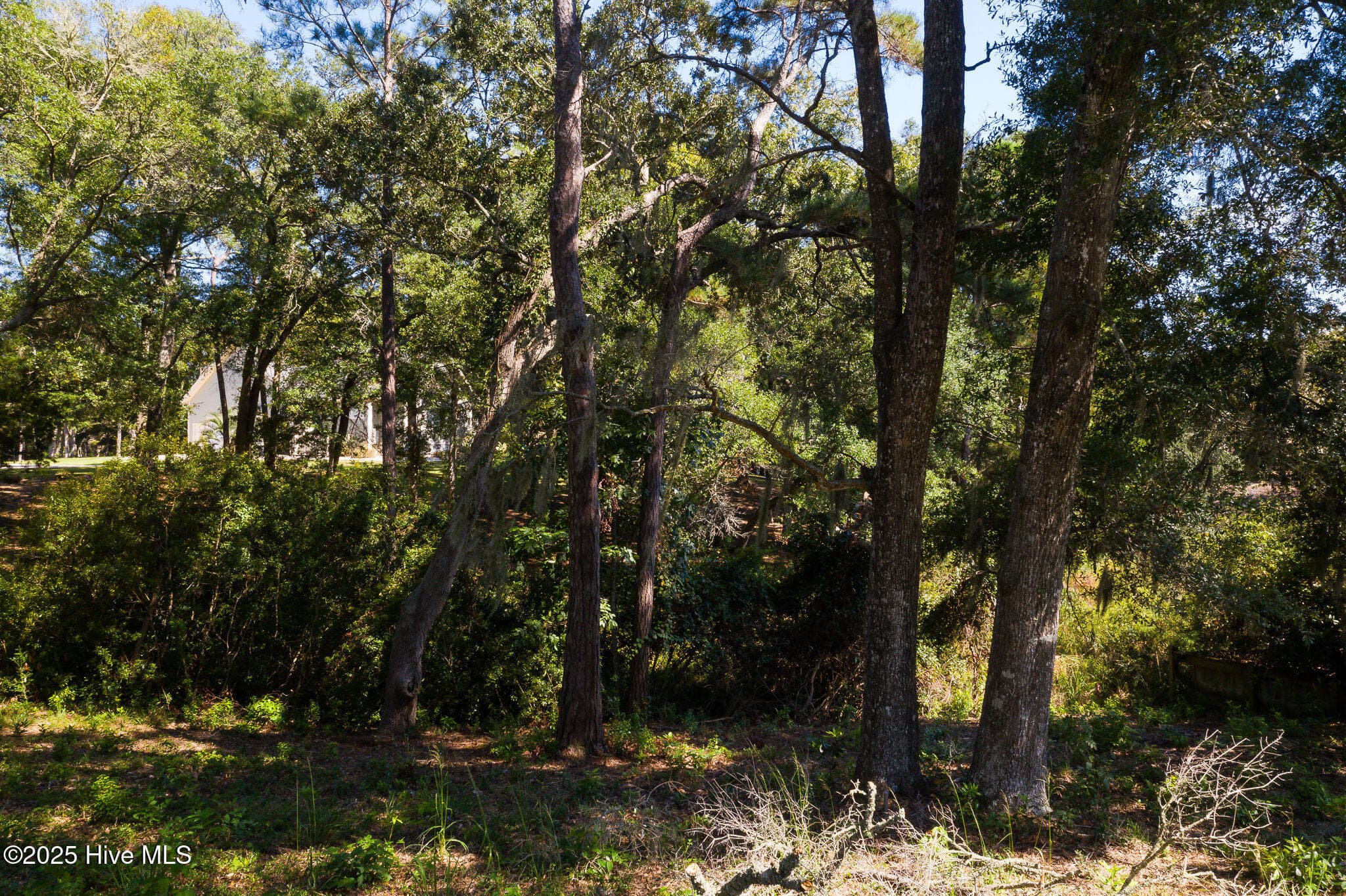 Residential Land at 1884 Russell Hewett Road SW, Supply, NC 28462, photo 7 of 31