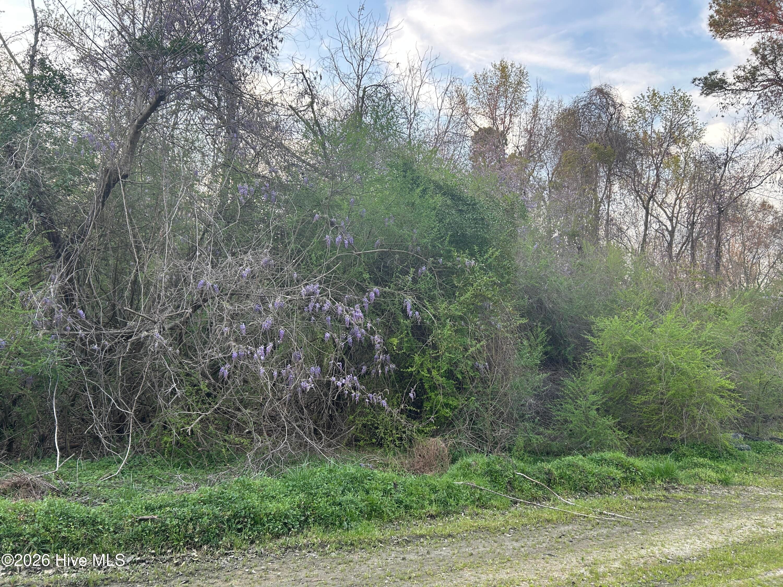 Residential Land at 351 Burgaw Creek Loop Road, Burgaw, NC 28425, photo 16 of 21