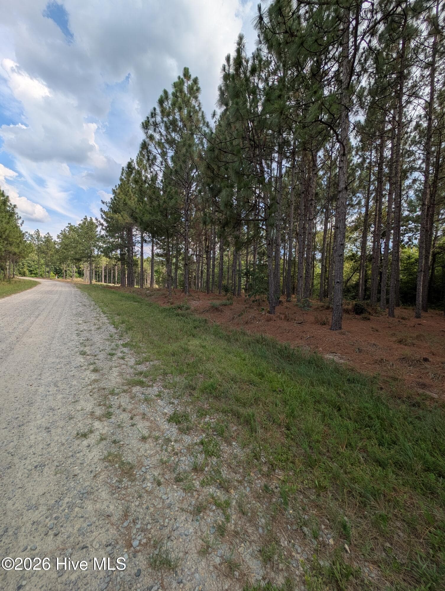 Residential Lot at 270 1-R Charles Road, Eagle Springs, NC 27242, photo 13 of 13