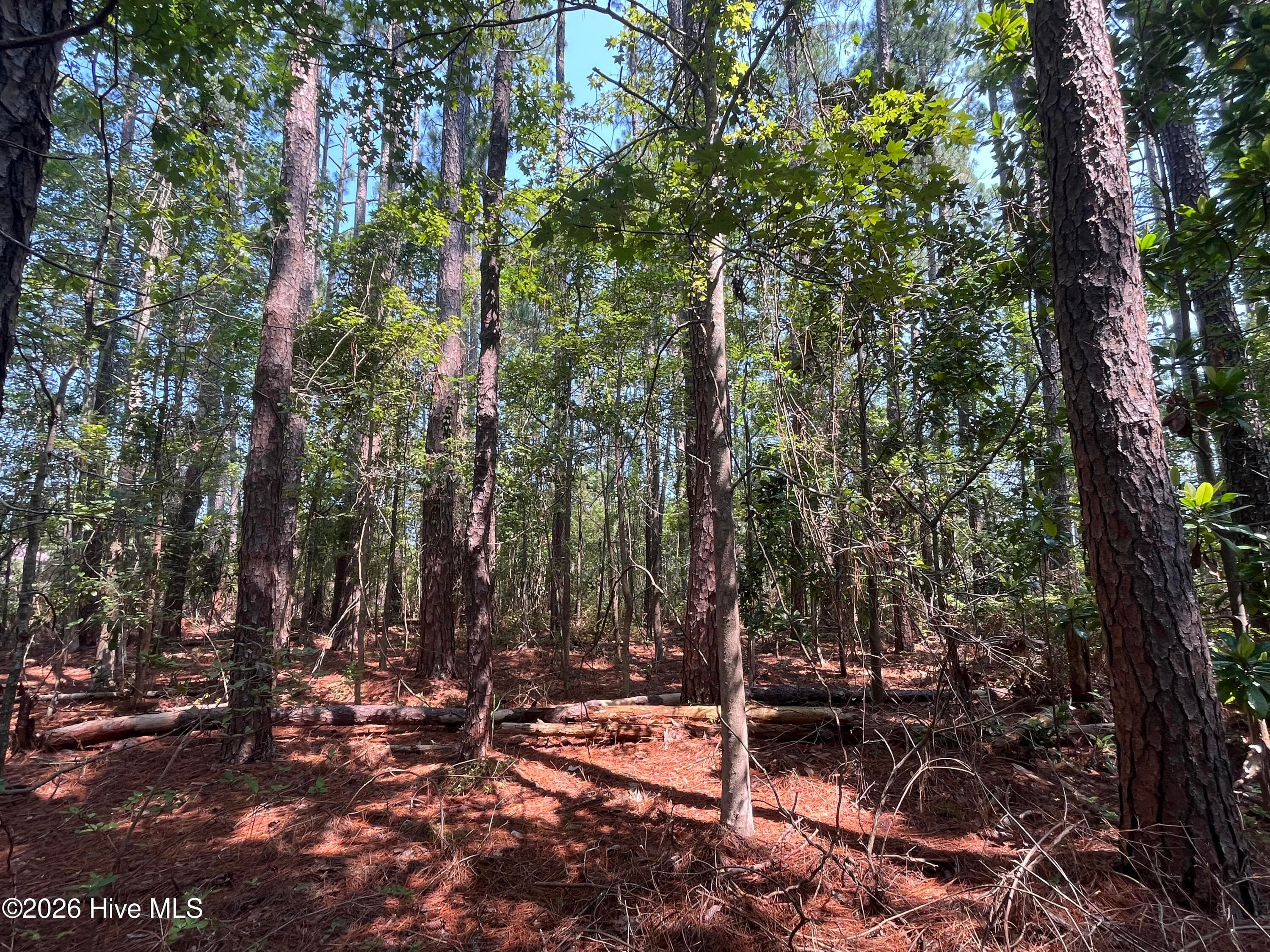 Residential Lot at 94 Whortonsville Road, Merritt, NC 28556, photo 7 of 11